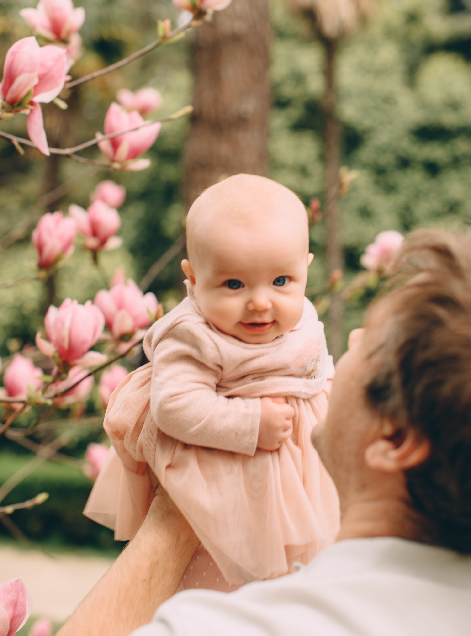 Цветение в Южных Культурах. Свадебный и семейный фотограф София Невская