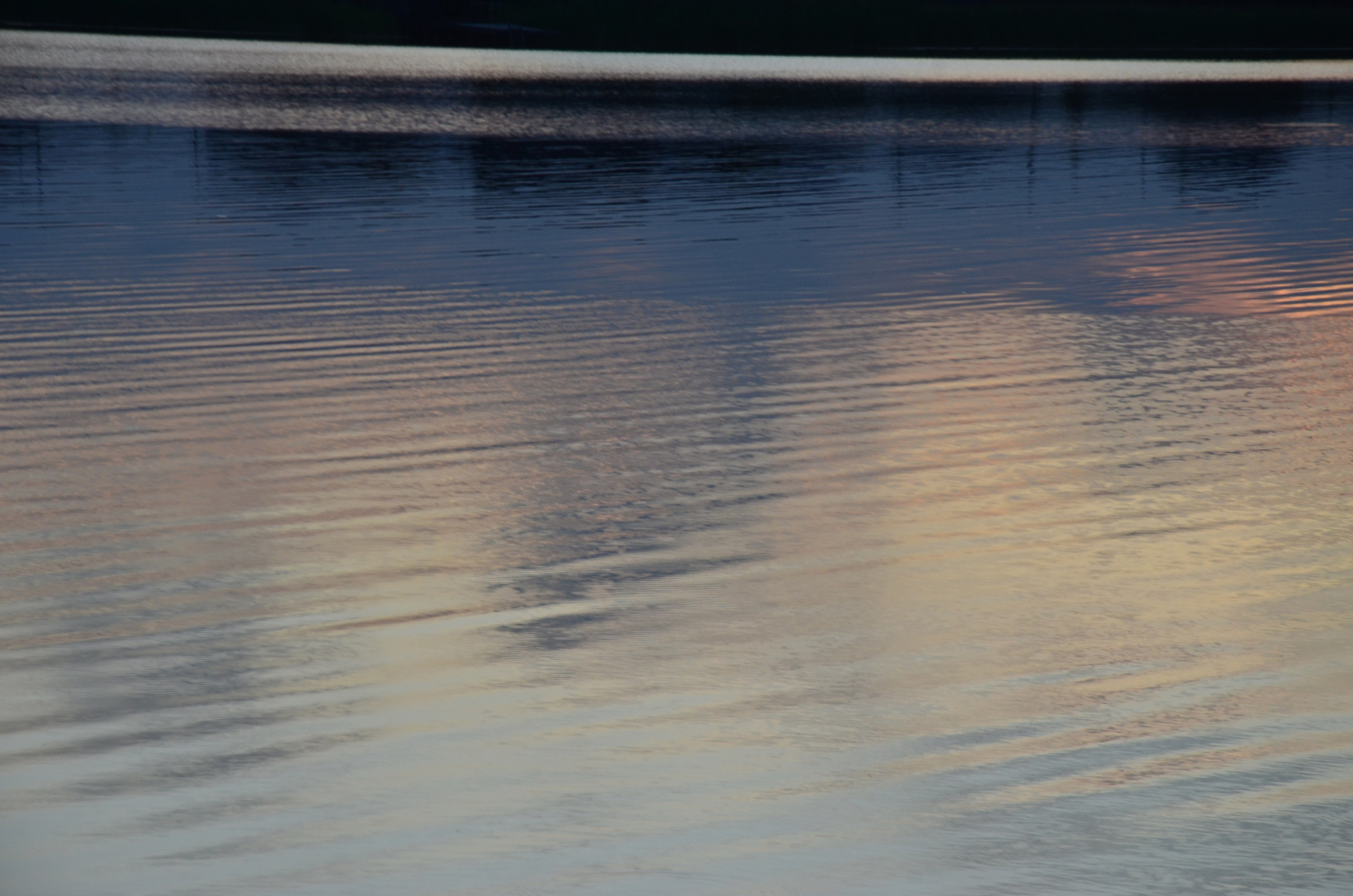 Дары природы. Фотограф viktor viktor