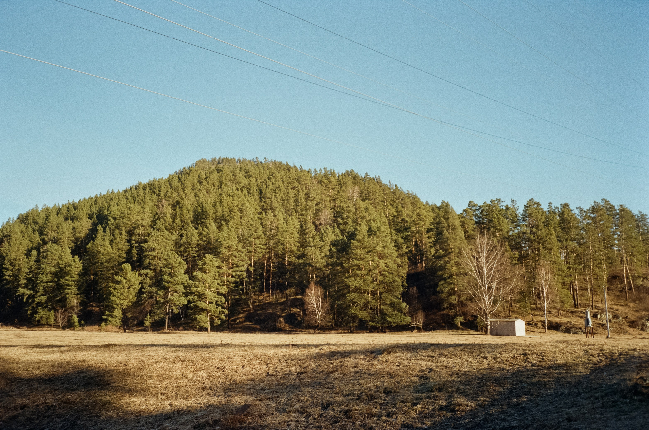 Olympus Mju II VS Chinon Auto 3001 — стоит ли переплачивать?!