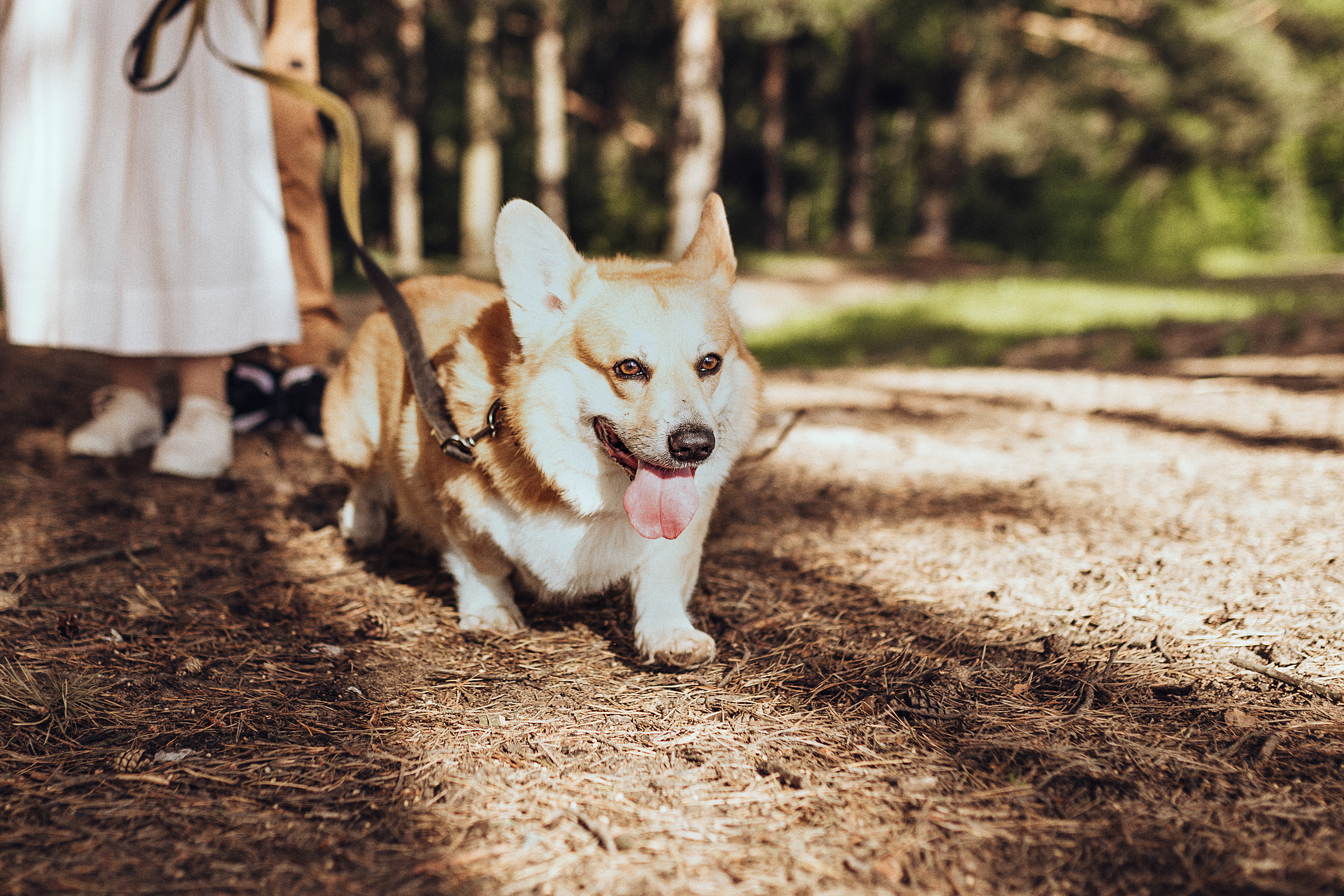 Первый летний день. Семейный фотограф в Москве Натали Момот