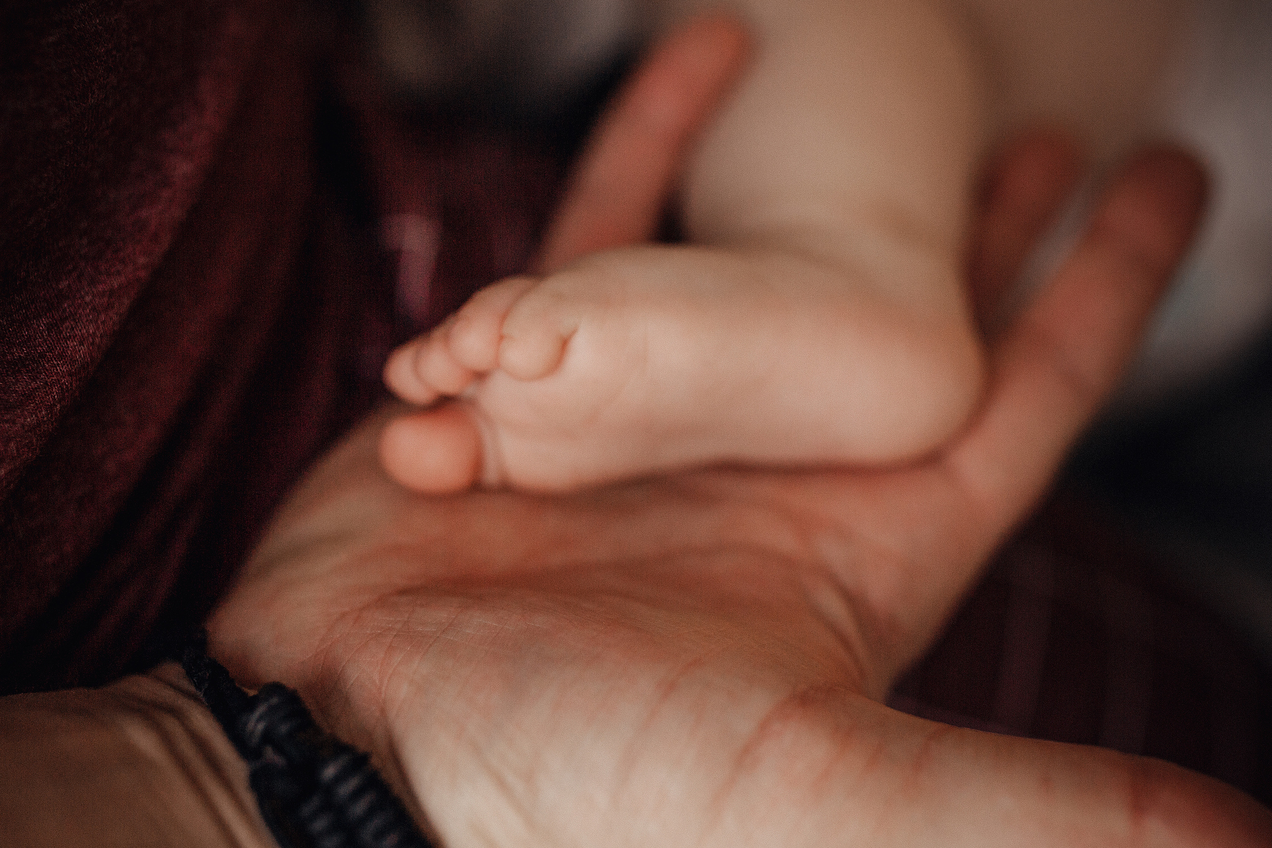 Варя, мама Лена, папа Коля. Семейный фотограф в Москве Натали Момот