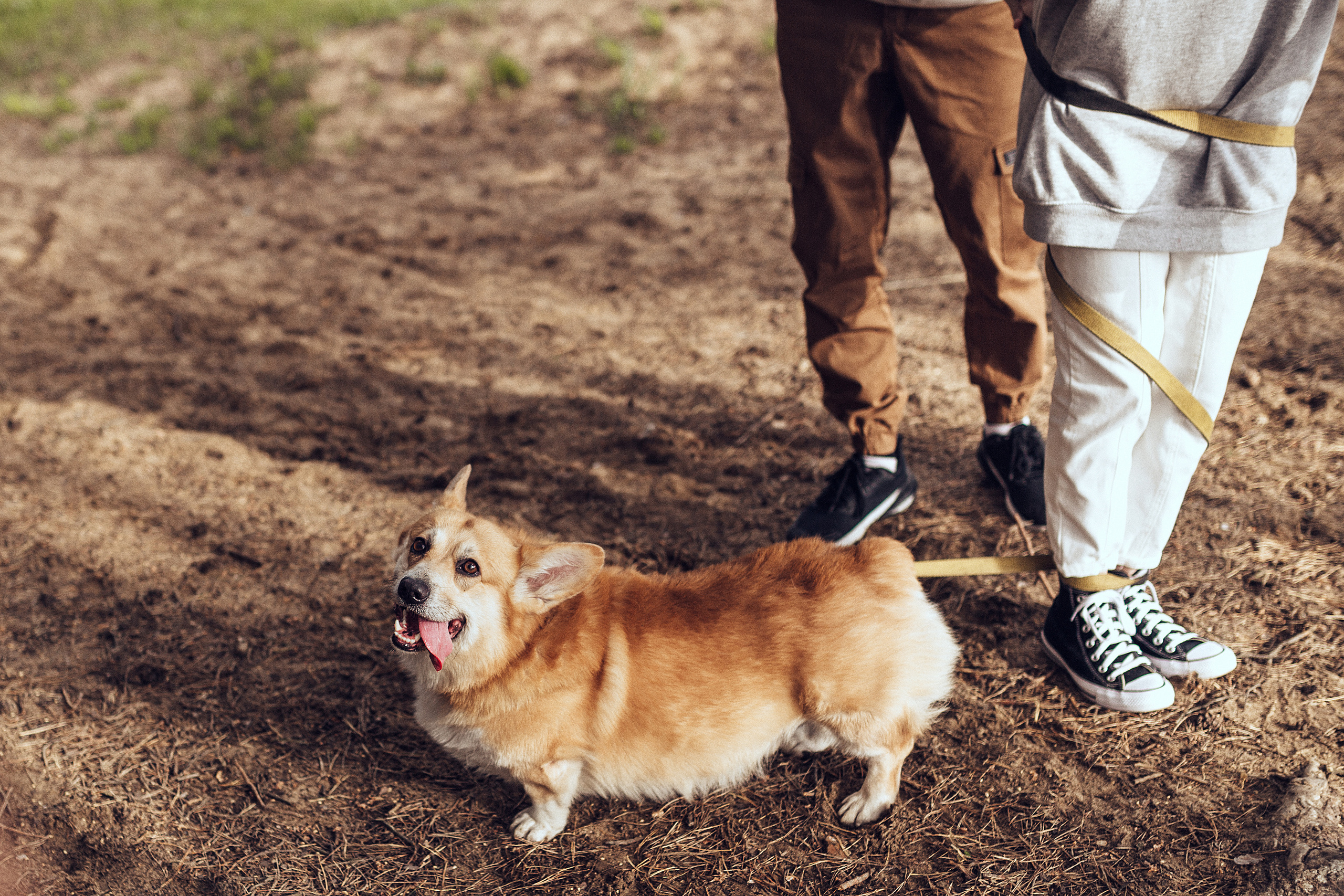 Первый летний день. Семейный фотограф в Москве Натали Момот
