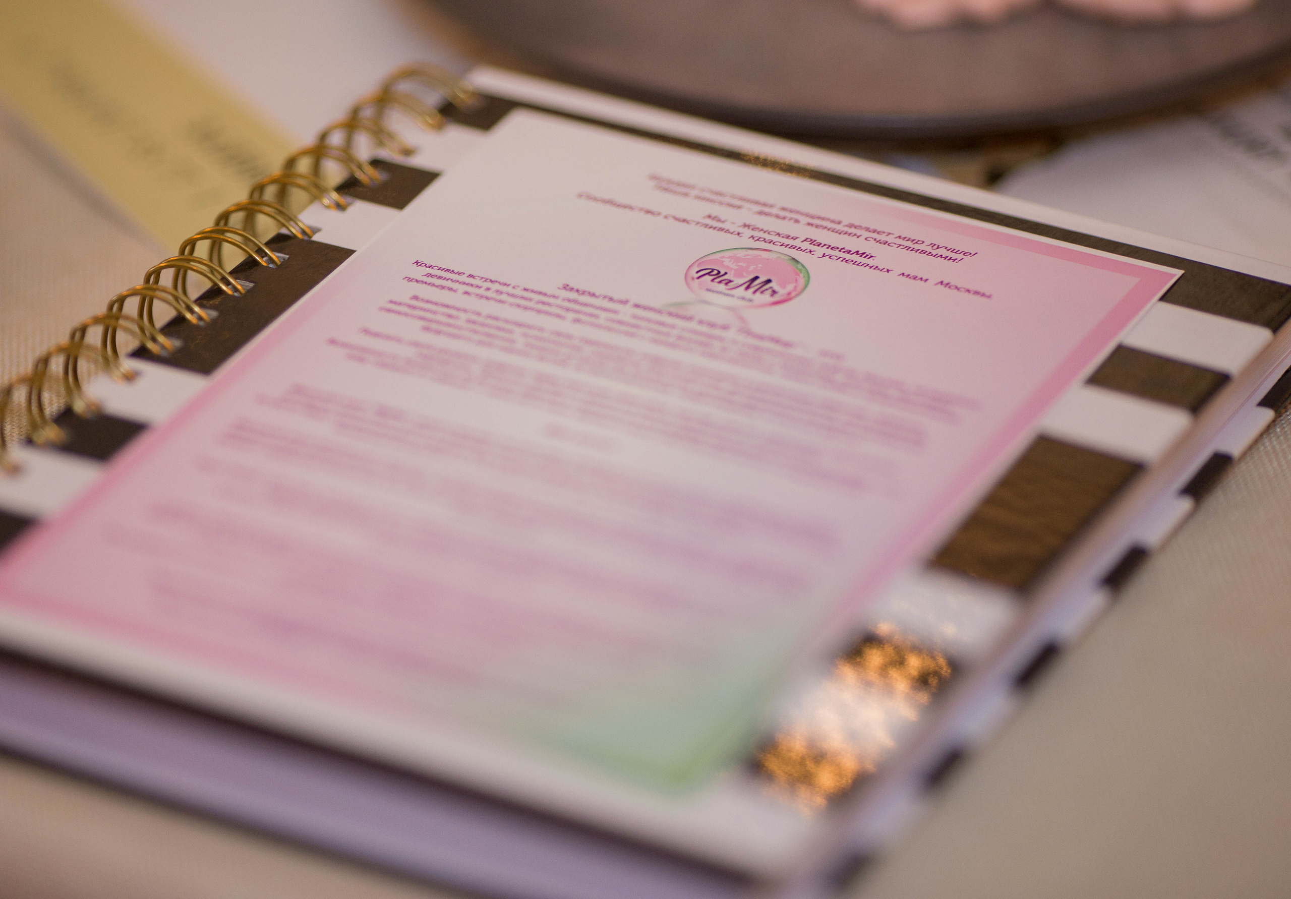 Мероприятие в женском клубе Plamir. Семейный фотограф в Москве Натали Момот