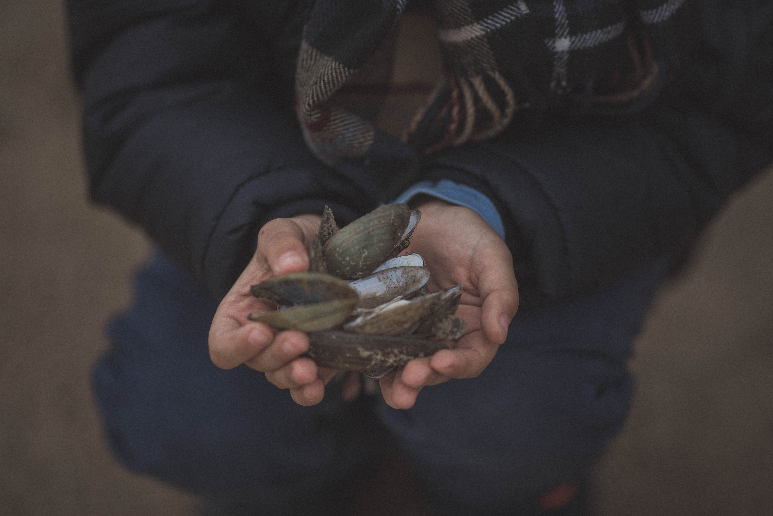 Прогулка на берегу. Семейный фотограф в Москве Натали Момот