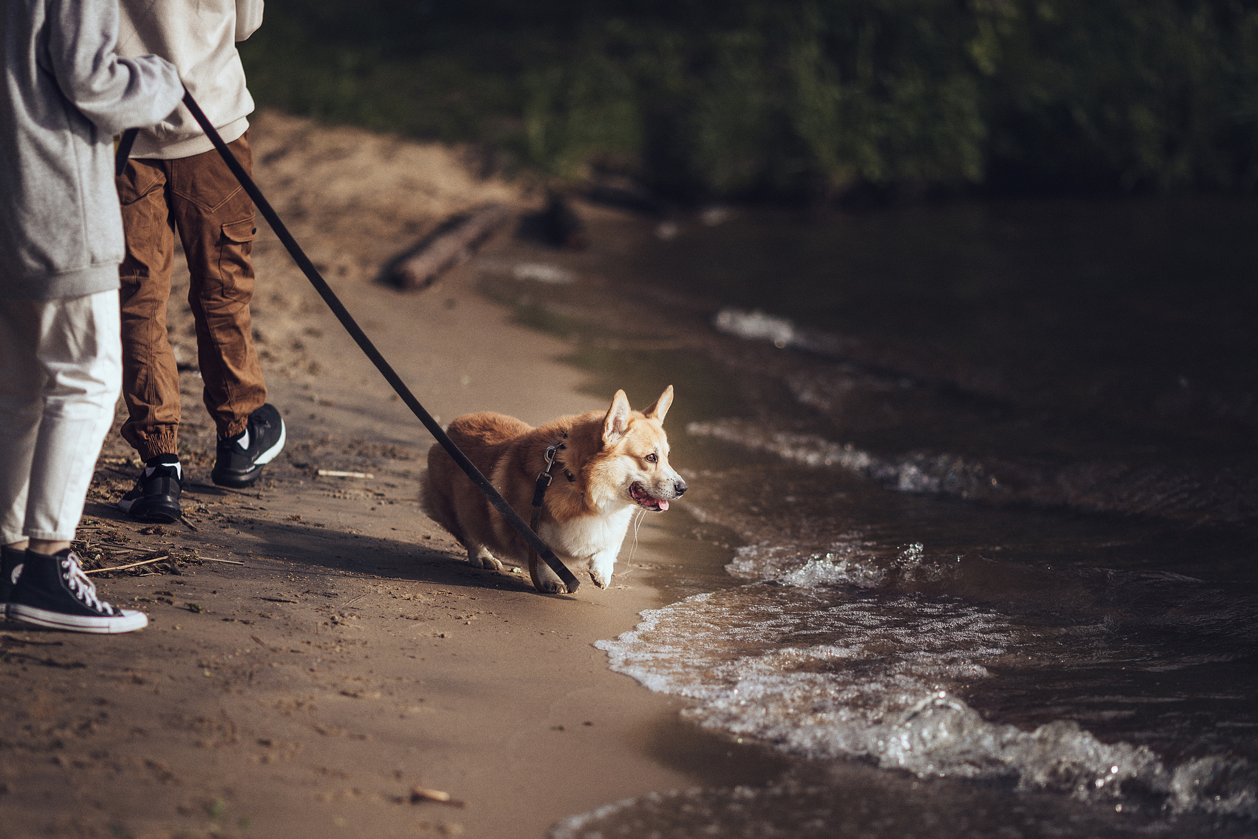 Первый летний день. Семейный фотограф в Москве Натали Момот