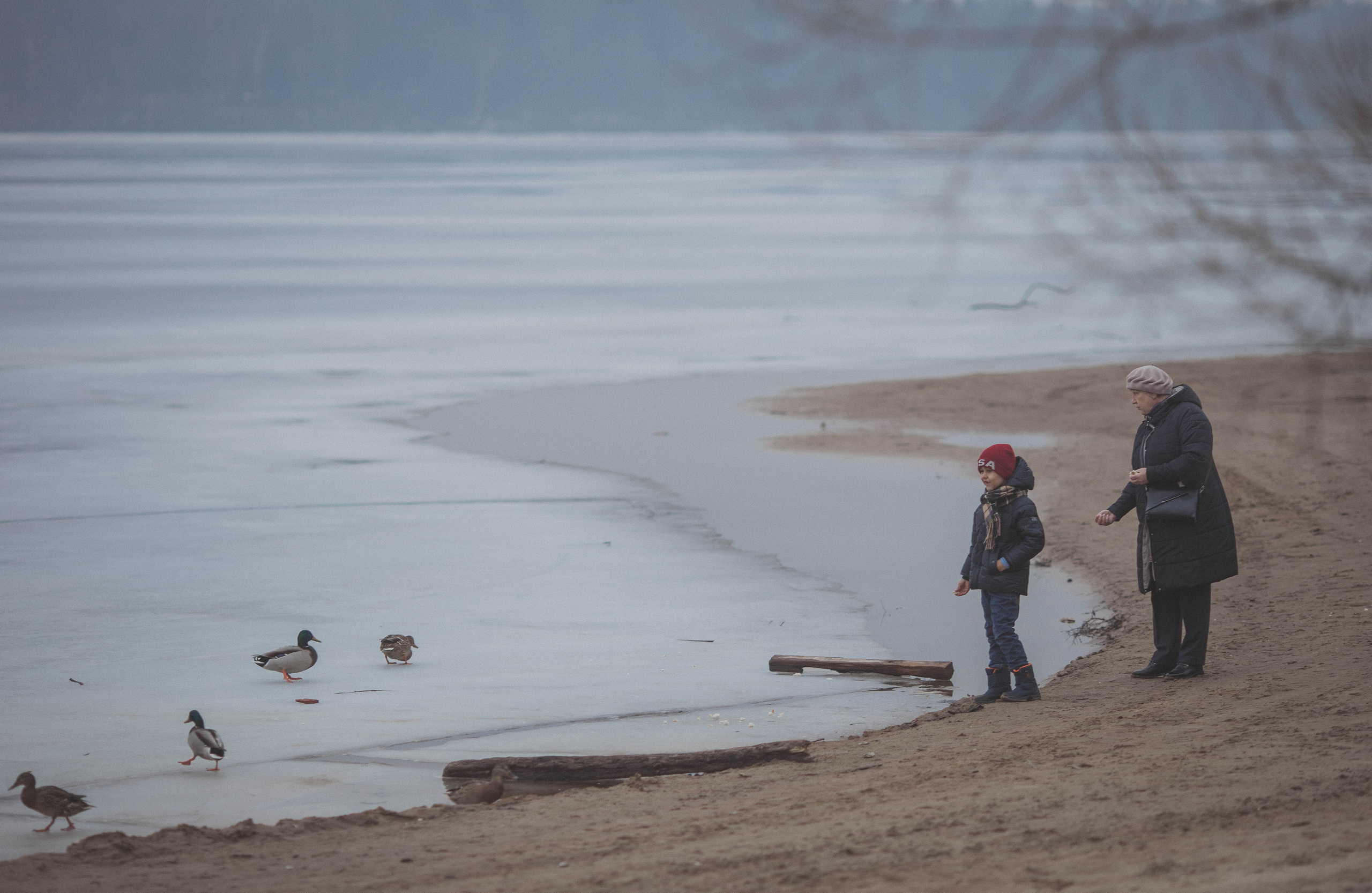 Прогулка на берегу. Семейный фотограф в Москве Натали Момот