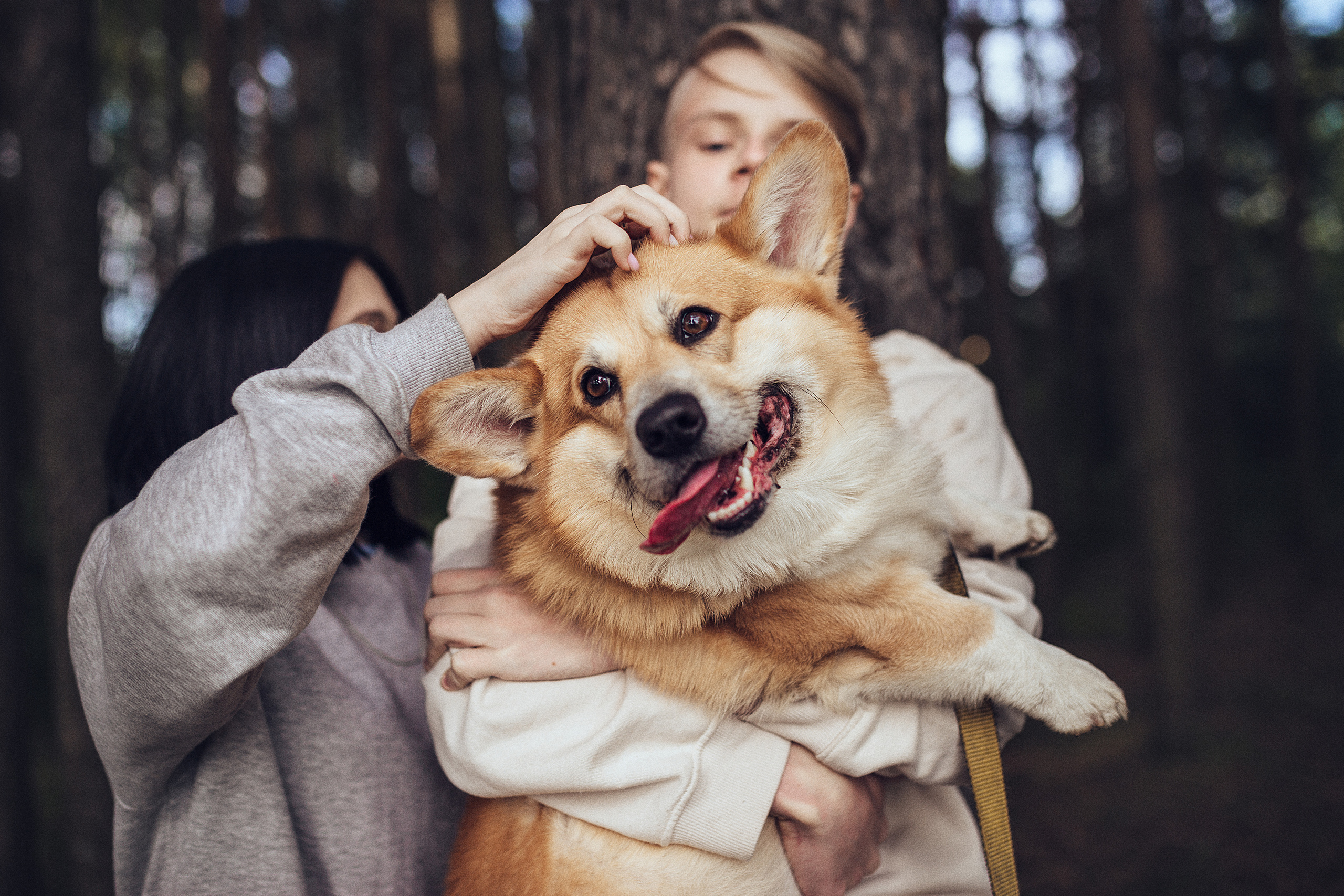 Первый летний день. Семейный фотограф в Москве Натали Момот