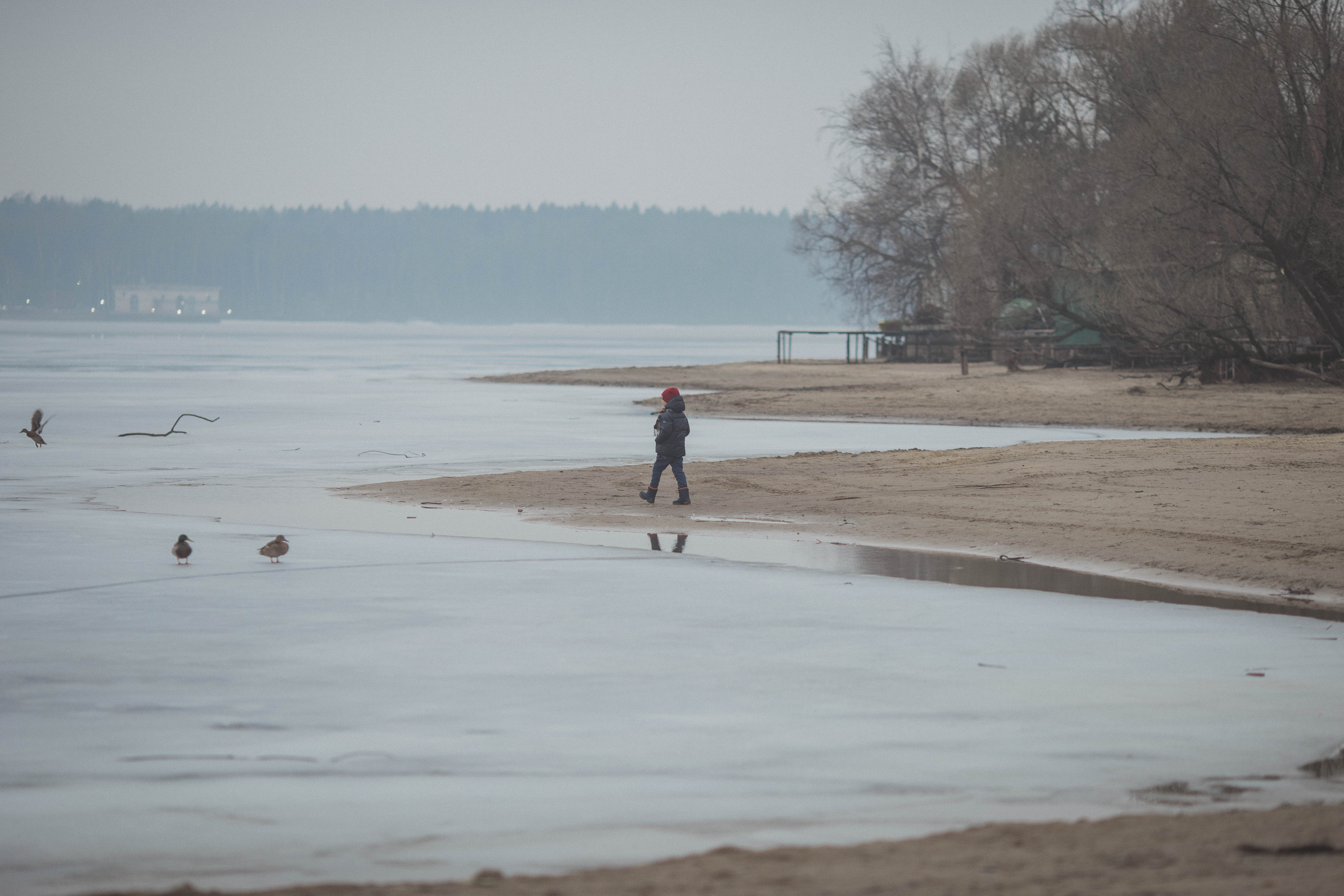Прогулка на берегу. Семейный фотограф в Москве Натали Момот