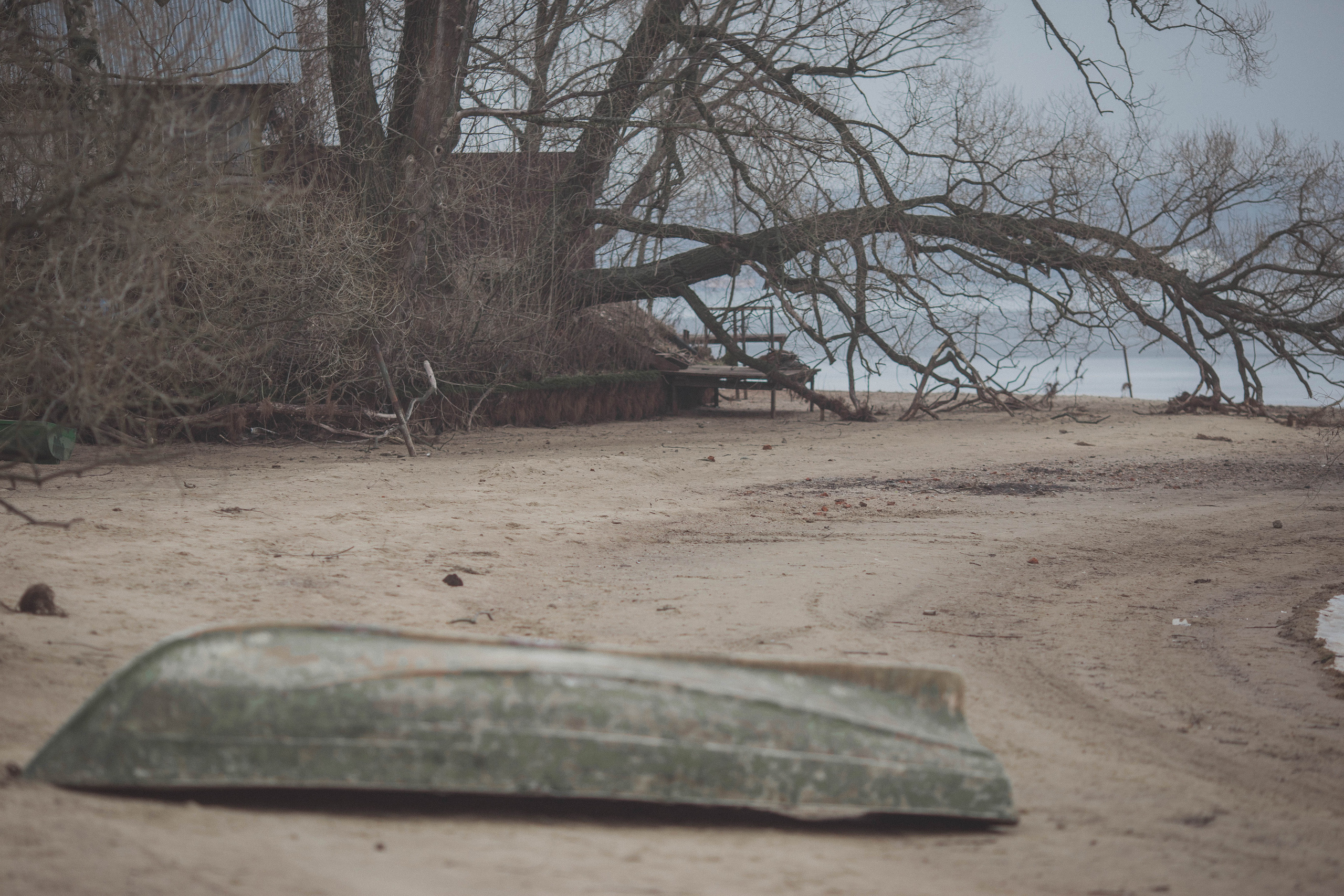 Прогулка на берегу. Семейный фотограф в Москве Натали Момот