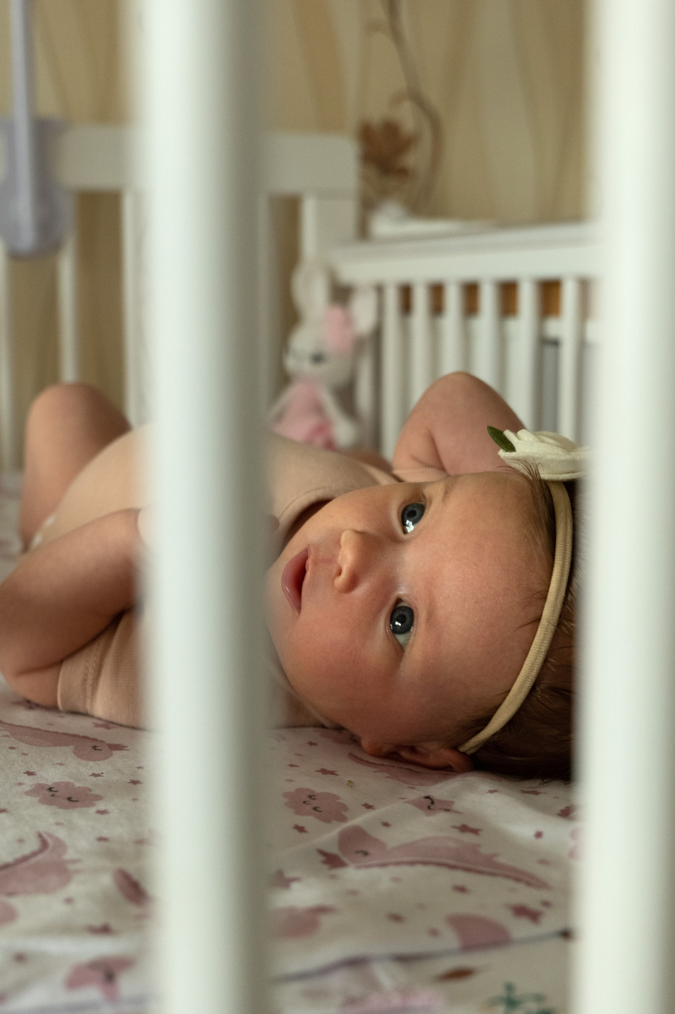 Твой первый месяц. Фотограф видеограф Ольга Василевская