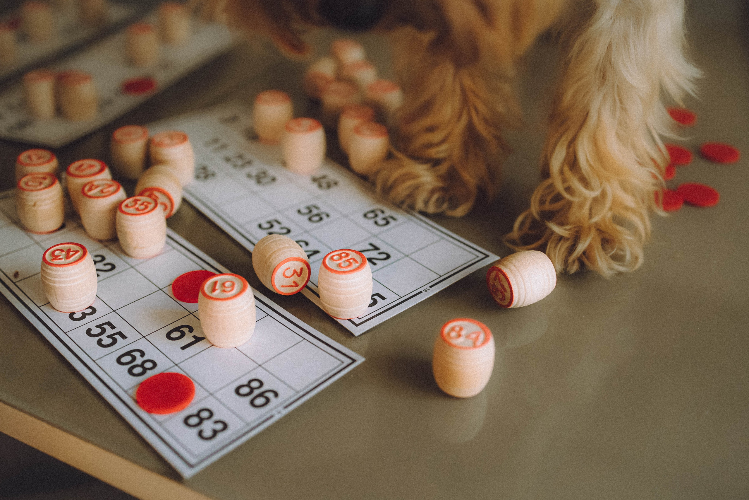 Дэзи и ее семья