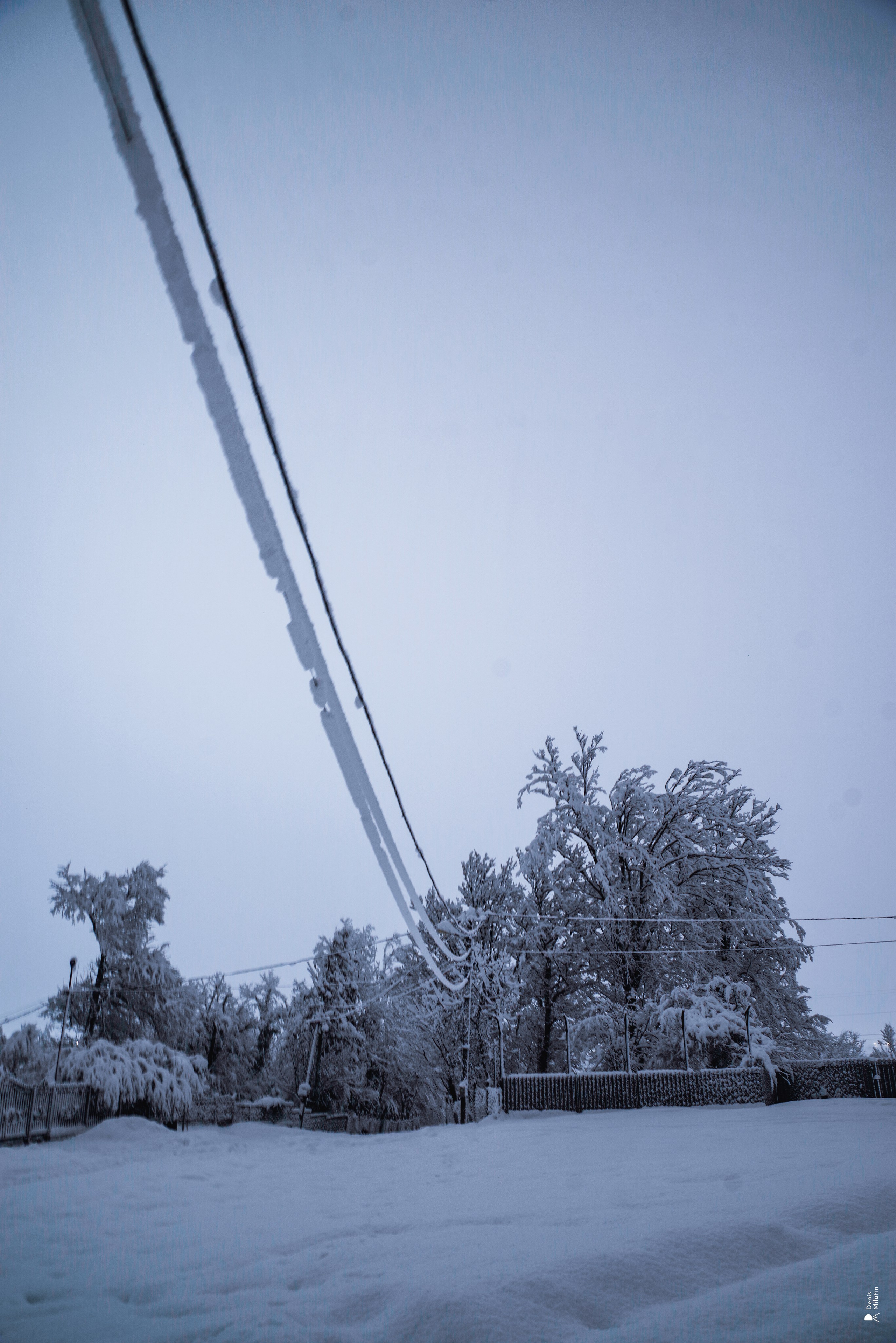 Спящий Менджи зимой. Портретный фотограф Денис Милютин