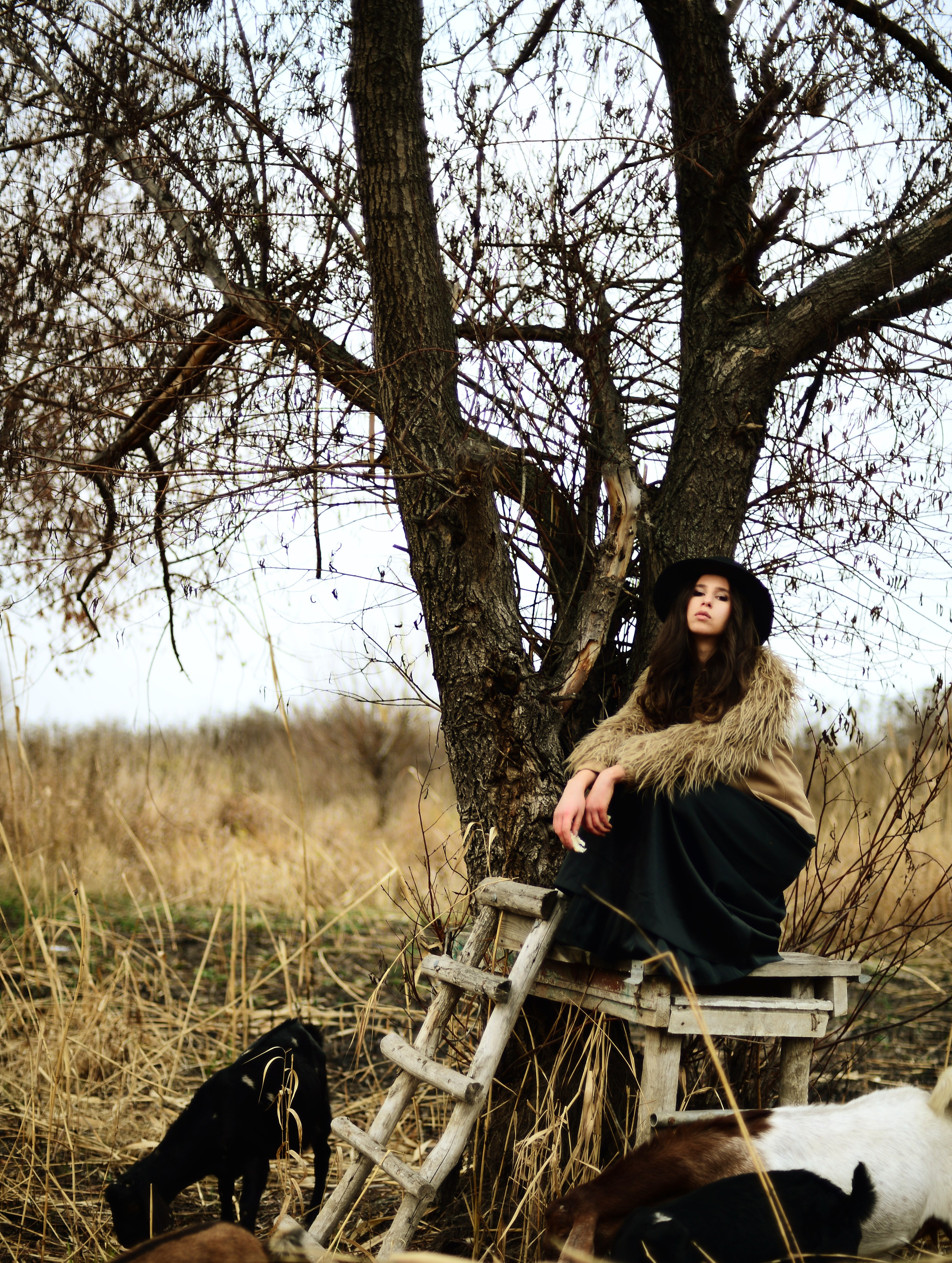 Маша и козочки. Кристина Зуенкова. Фотограф в Луганске