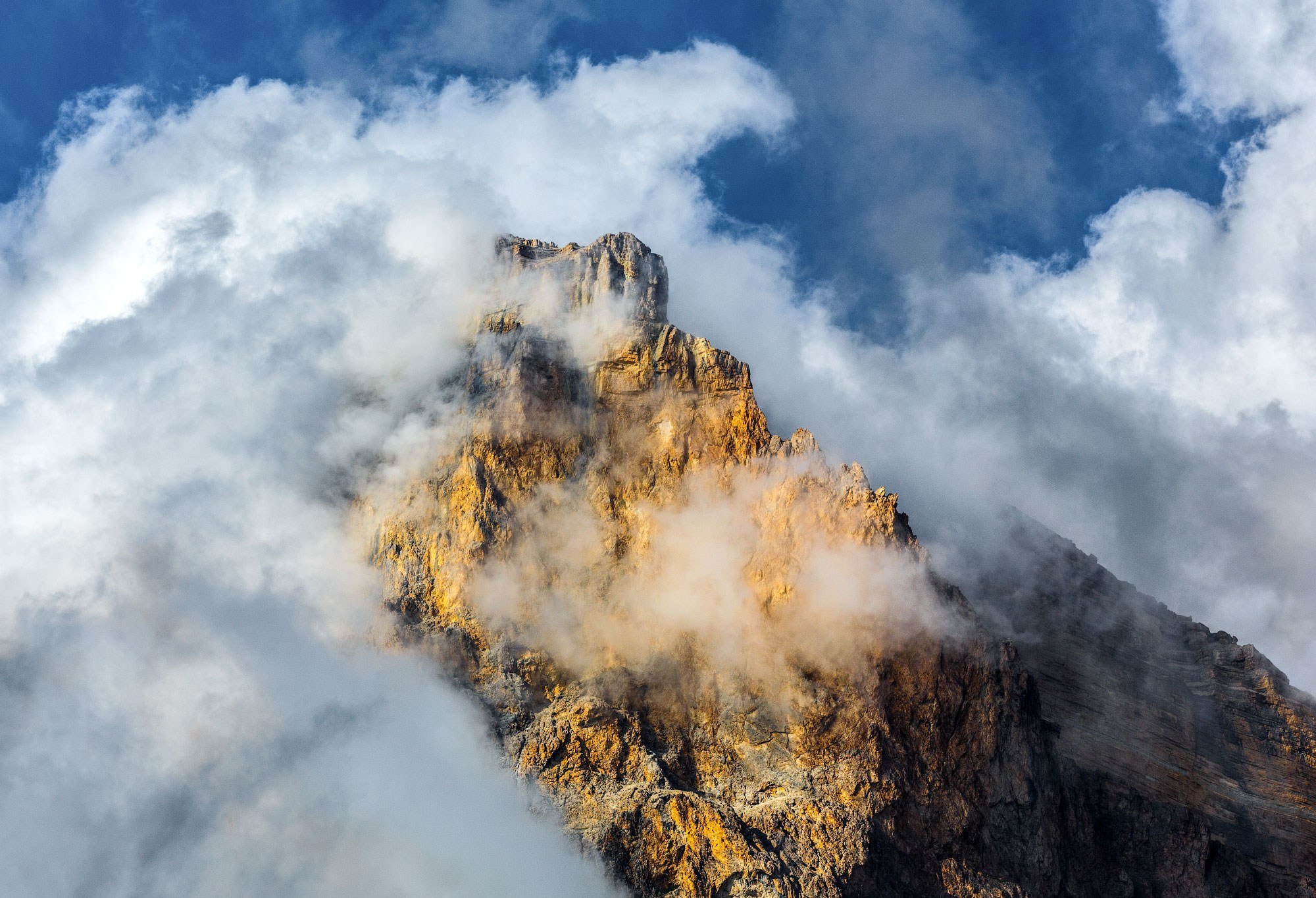 Свадебный фотограф в Геленджике