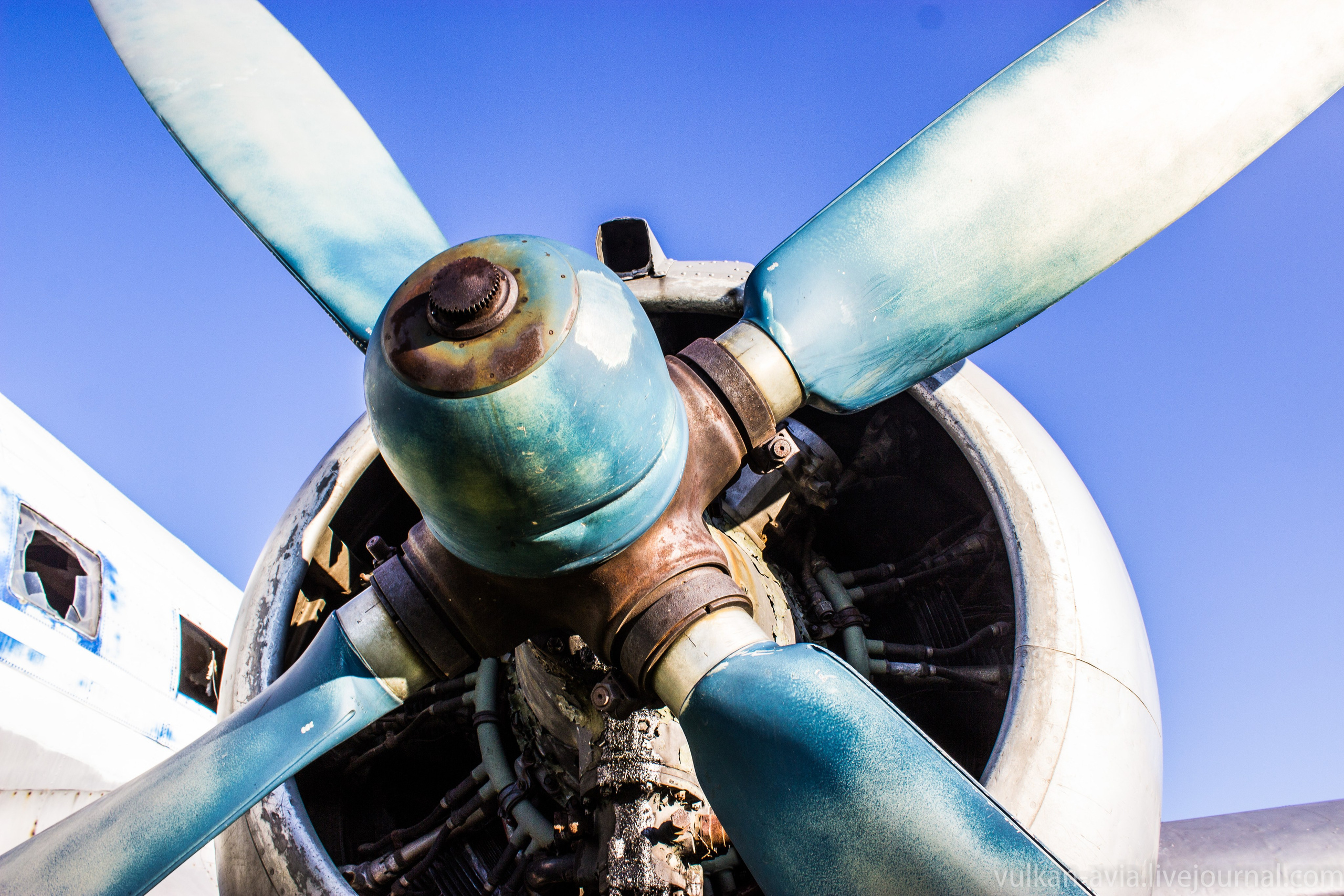 Ил-14 (Пермь, Фролы). Фотоальбом показывающий увлекательный мир авиации и мир медведей Андрея Иванова