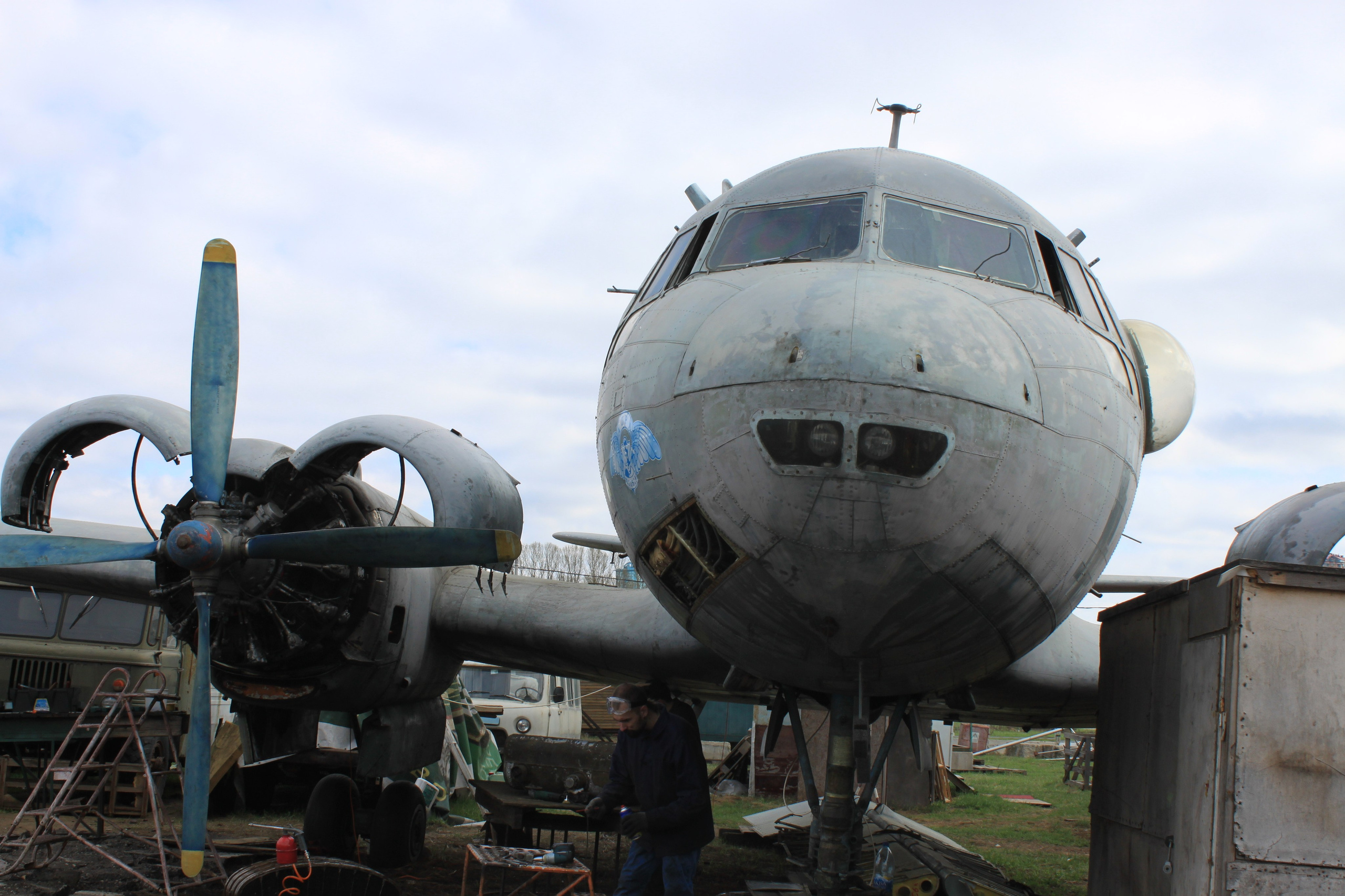 Ил-14Т «Голубая Мечта» работы в Тушино (2011 г.). Фотоальбом показывающий увлекательный мир авиации и мир медведей Андрея Иванова