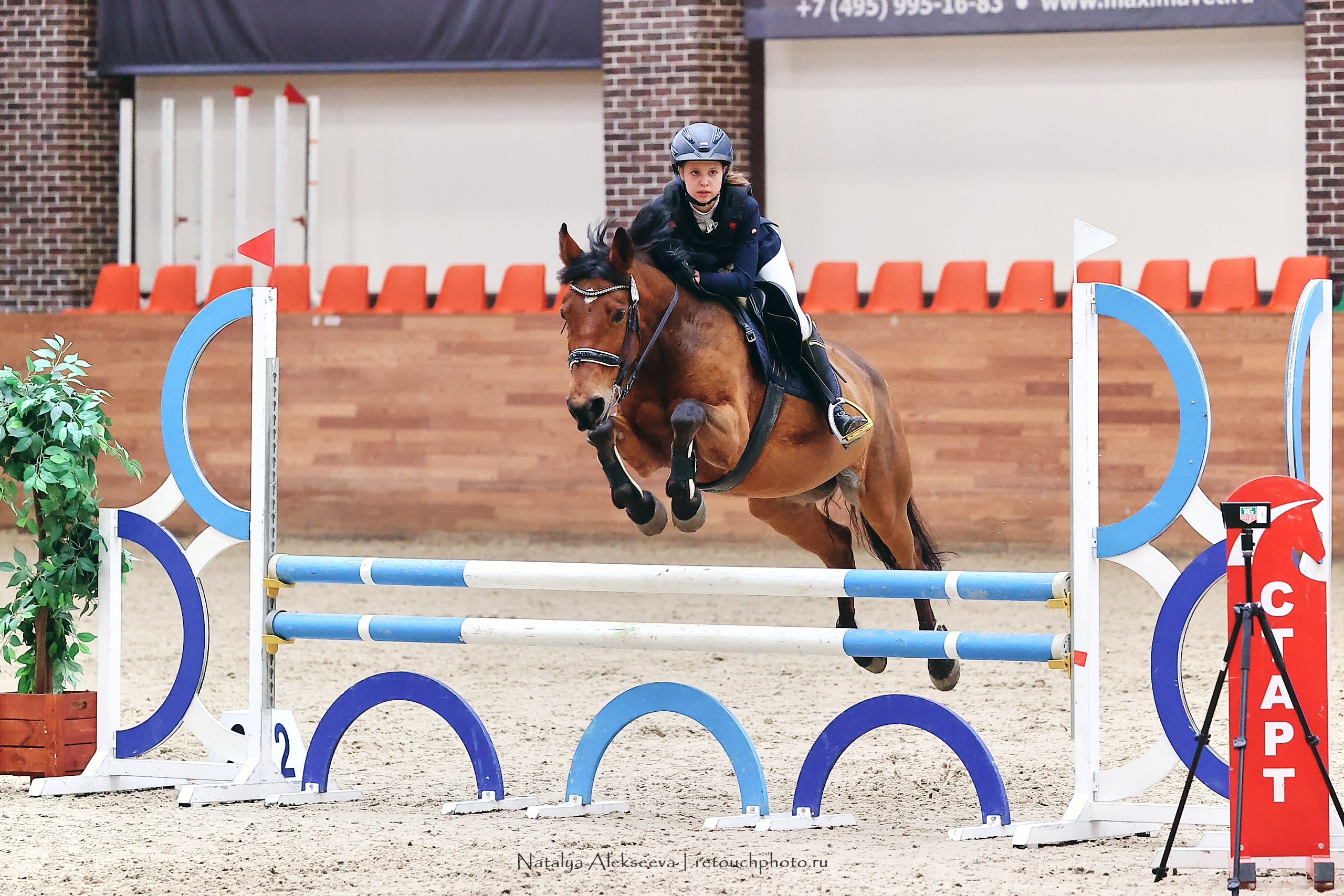 Финал Maxima Park по конкуру, Maxima Stables | 10'2023. Репортажный фотограф и ретушер в Москве Наталья Алексеева