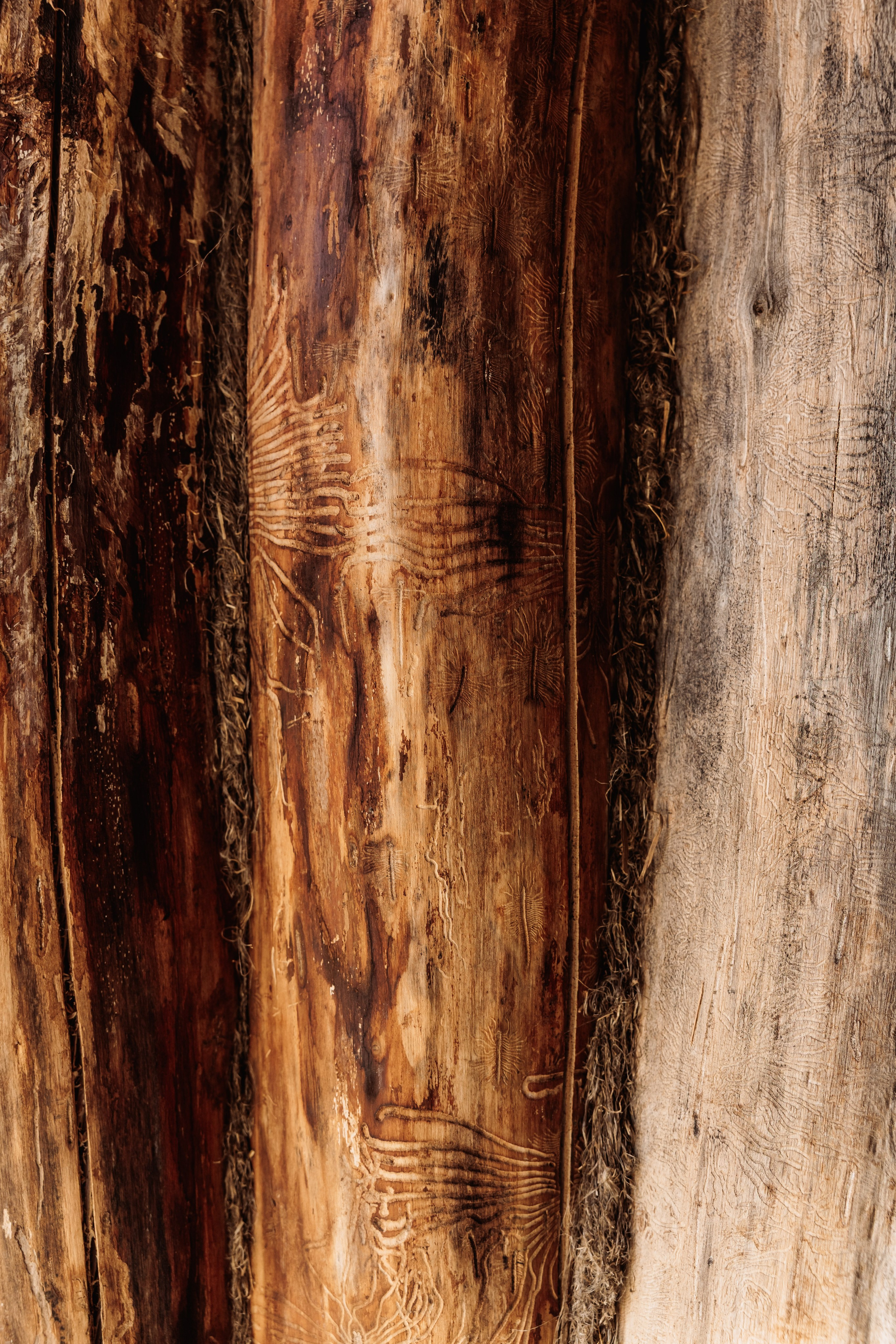 KUKSA|ТО, ЧТО ТЕБЯ СОГРЕВАЕТ|Кело-баня на дровах, г. Коломна. ФОТОГРАФ ИРИНА ШАМАТАВА