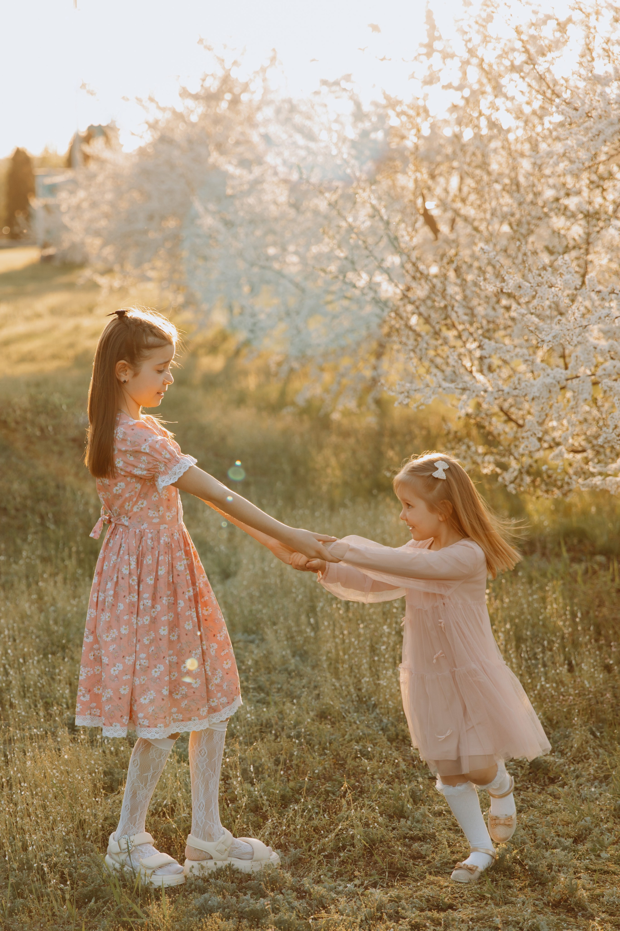 Цветение. Фотограф Максим Никонов