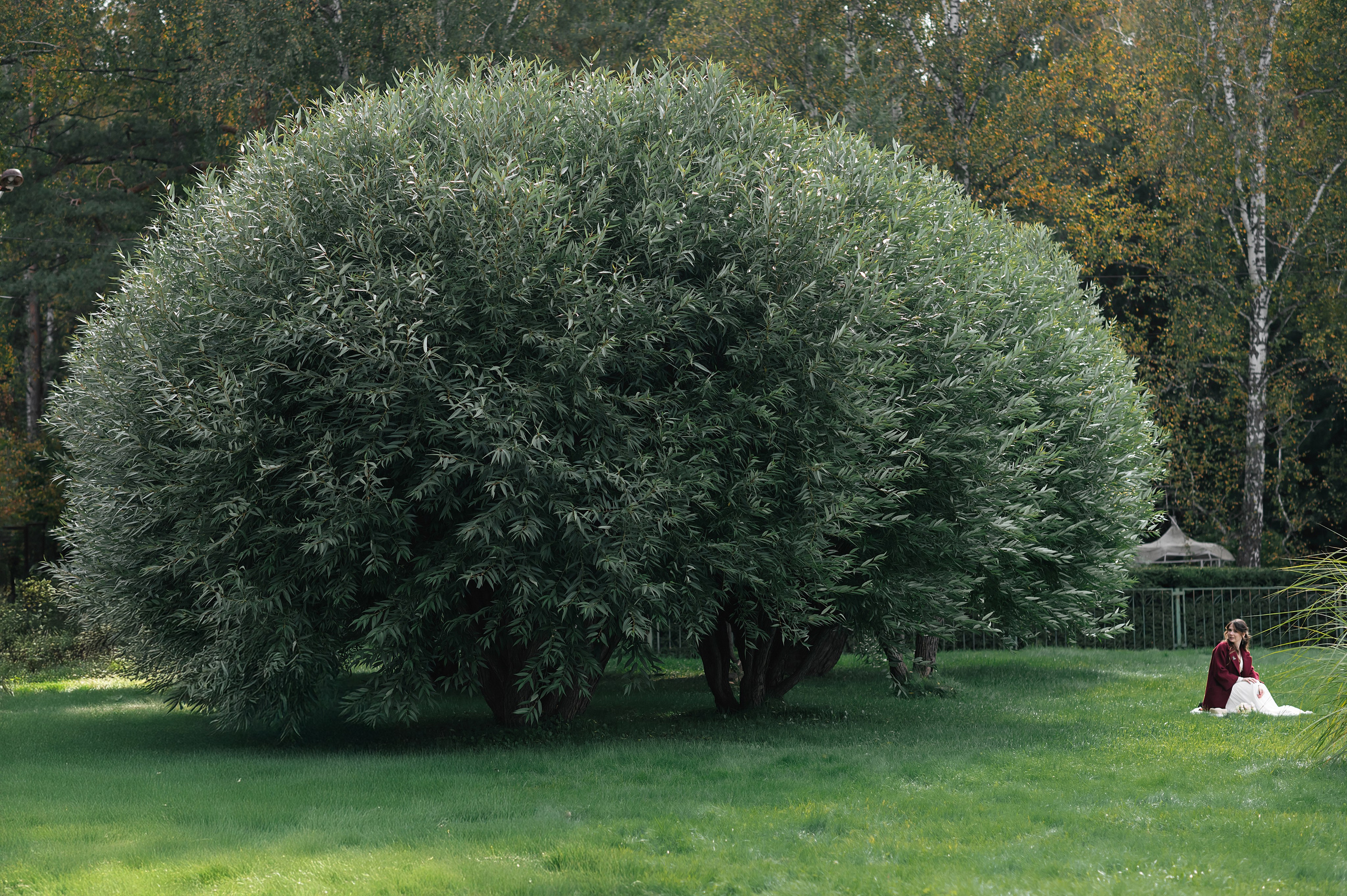 Свадебная фотосессия Александра и Дмитрий