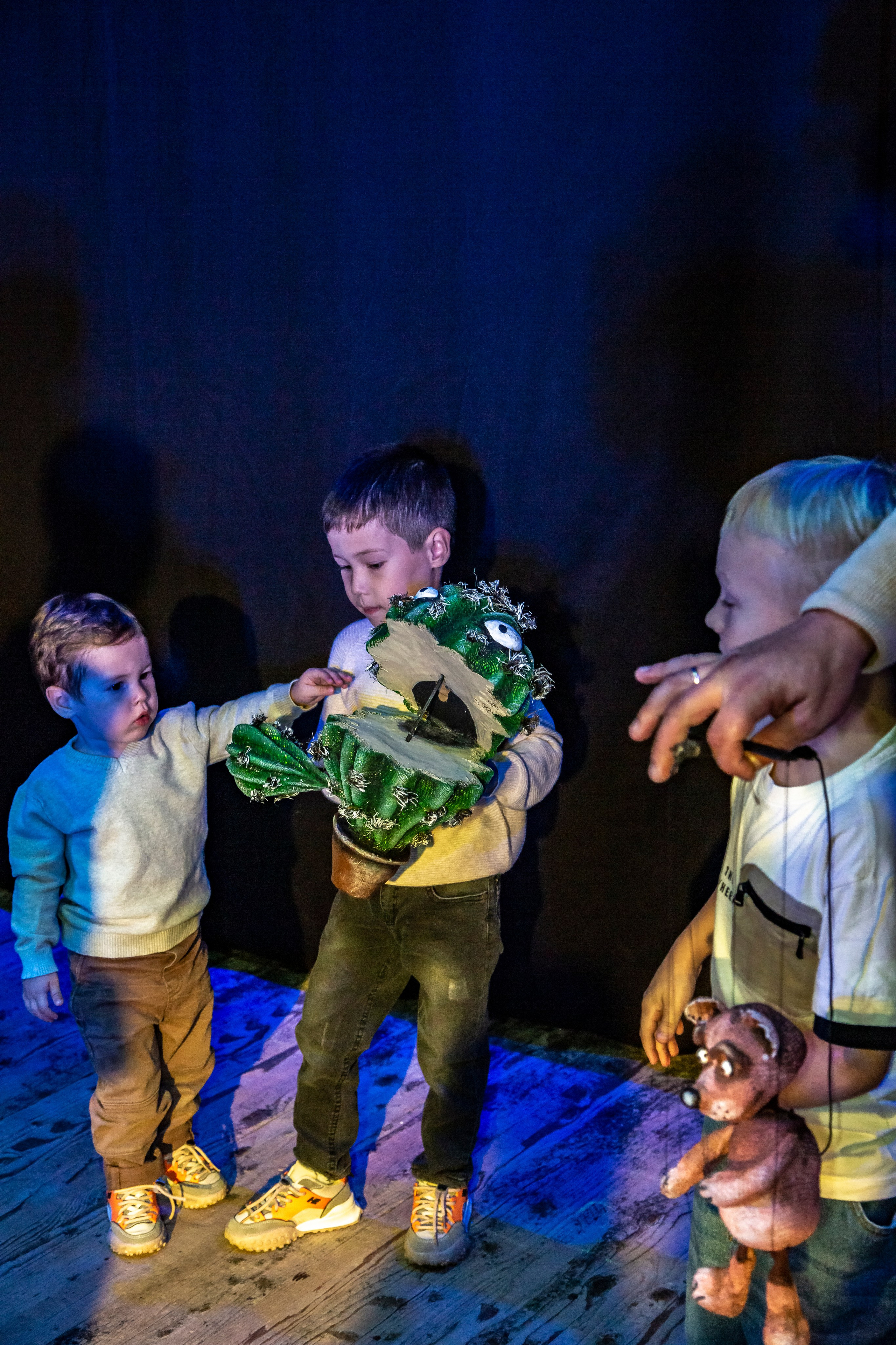 Колючая сказка. Фотограф в Сочи Юрий Шептаев