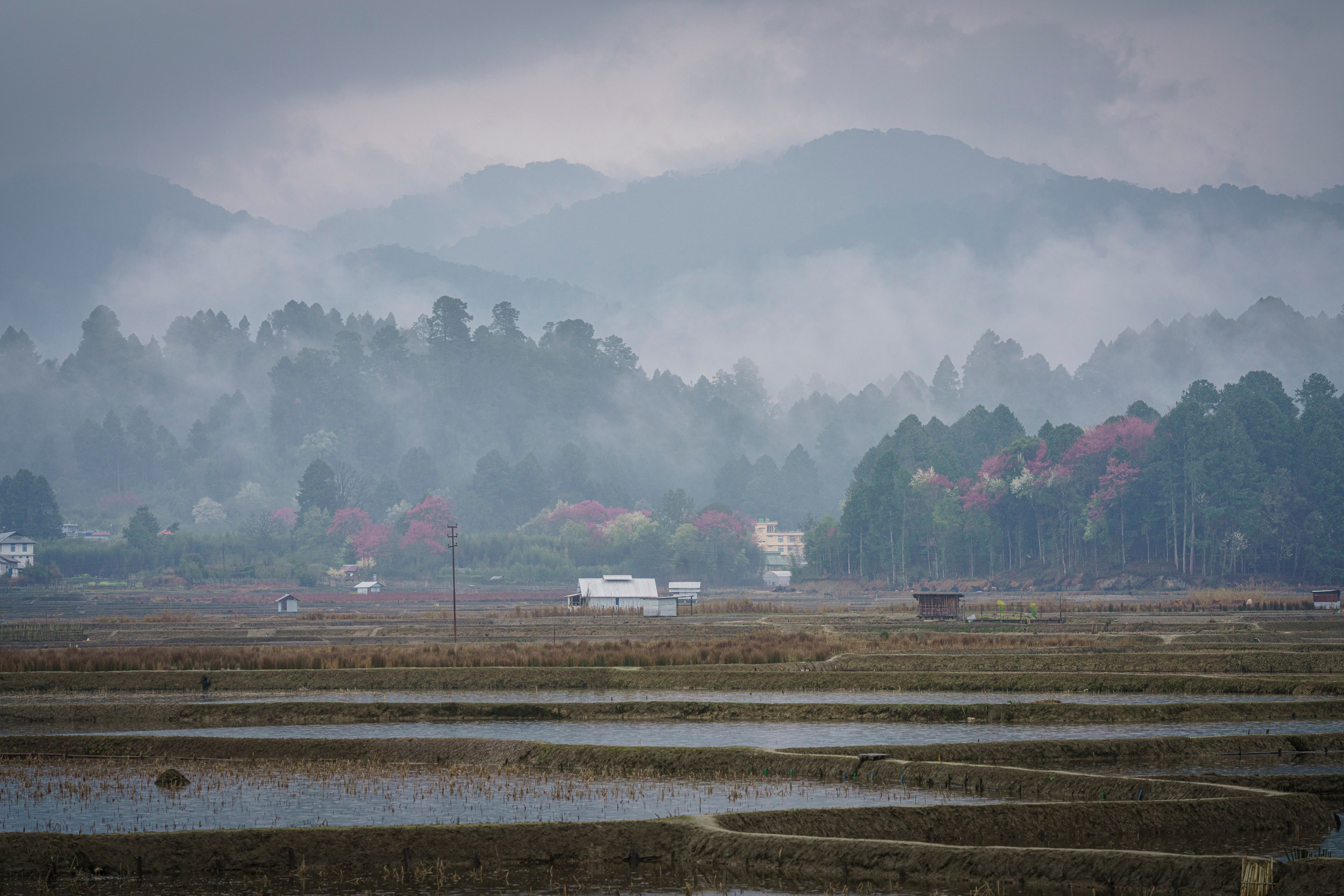 India travel. Фотограф Сергей Танков