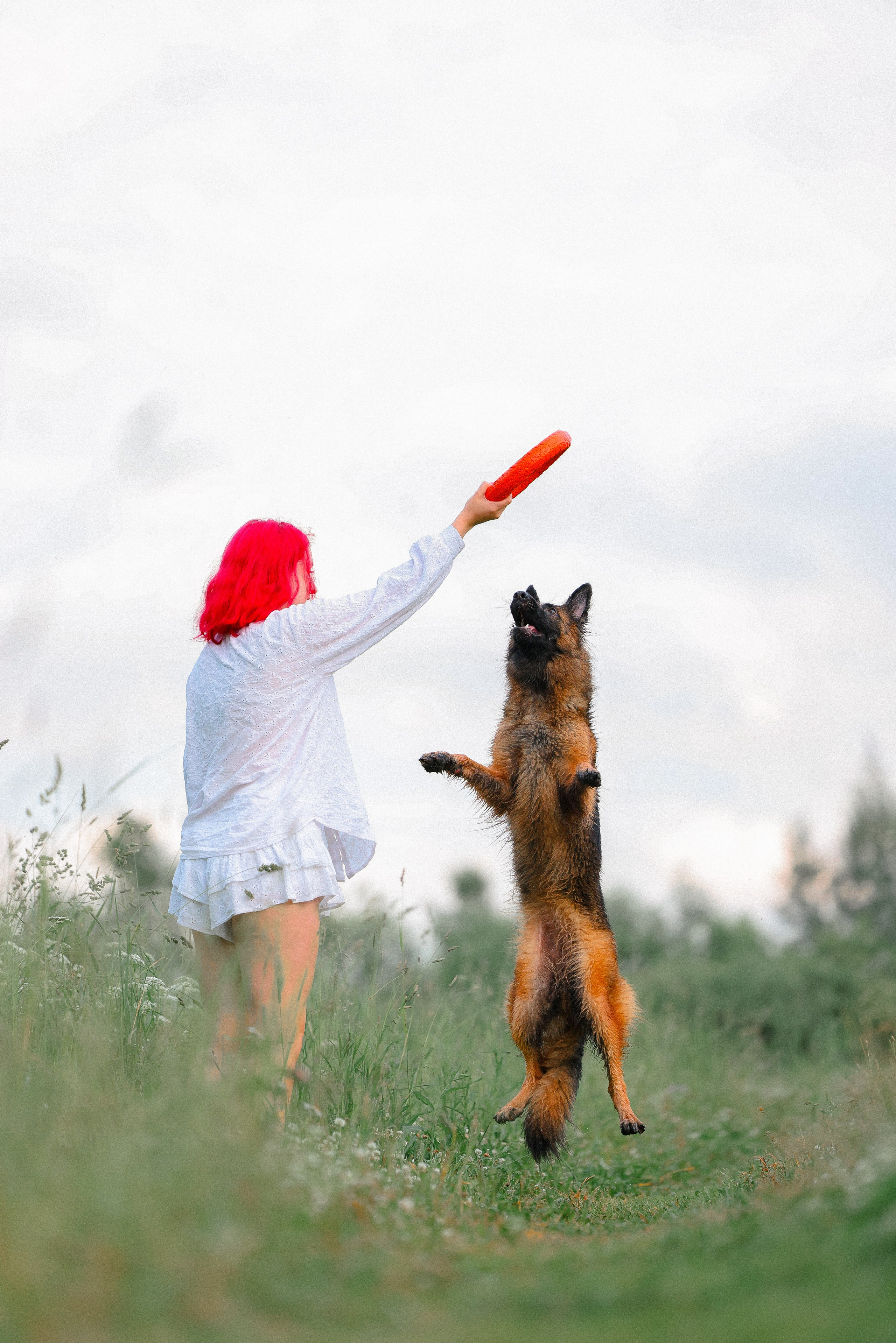 Алена, Фанни и Фрея. Фотограф и видеограф анималист Аганина Дарья