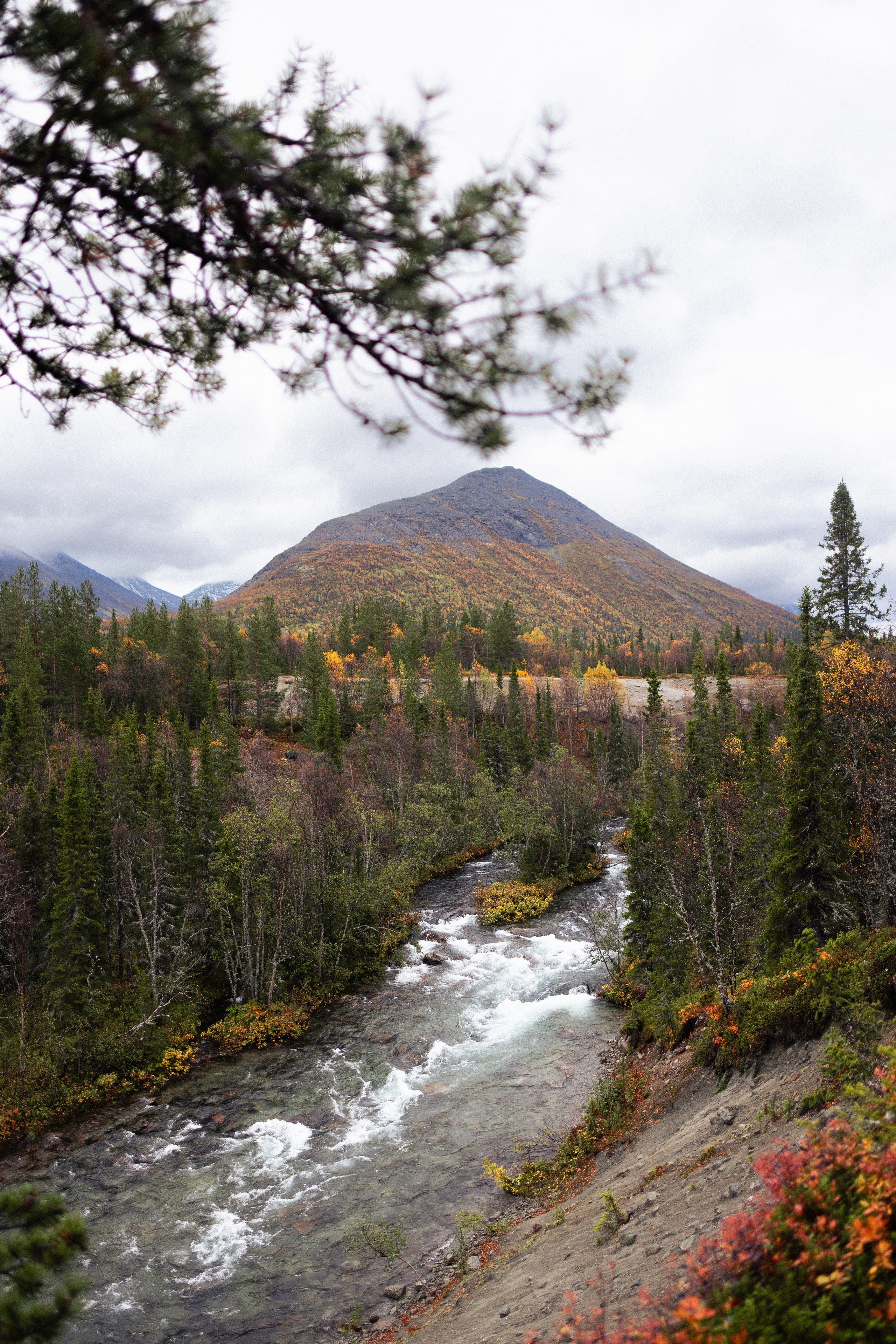 Кольский. Фотограф и видеограф анималист Аганина Дарья