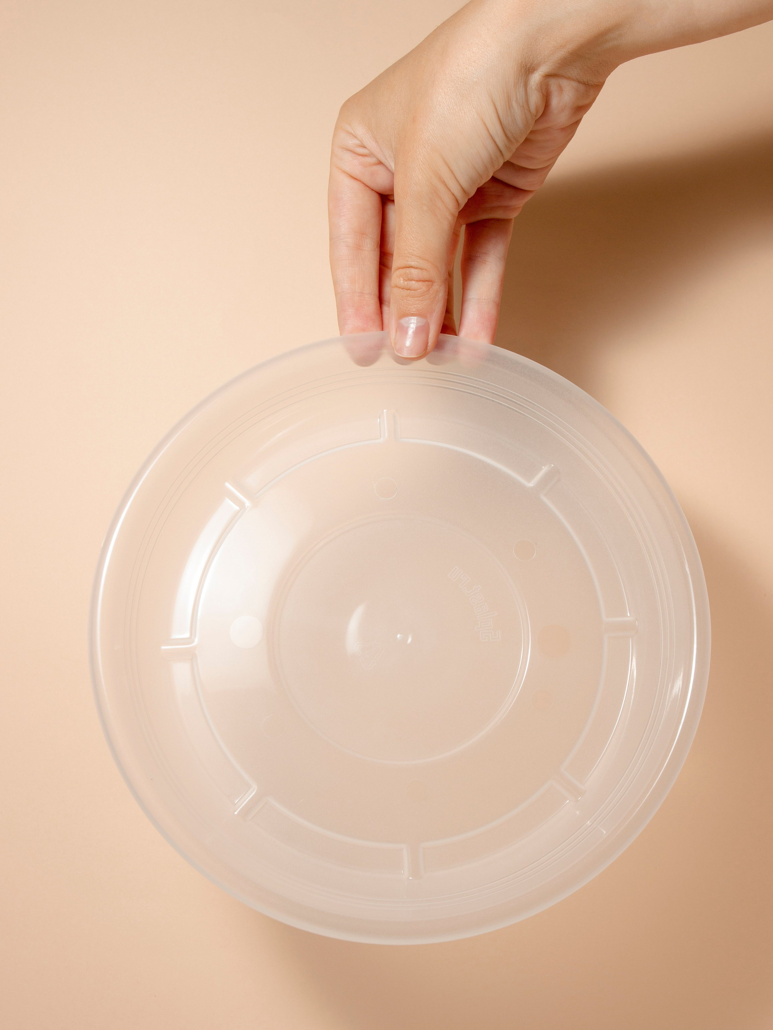 Цветочные горшки. Фотограф Злата Спицына