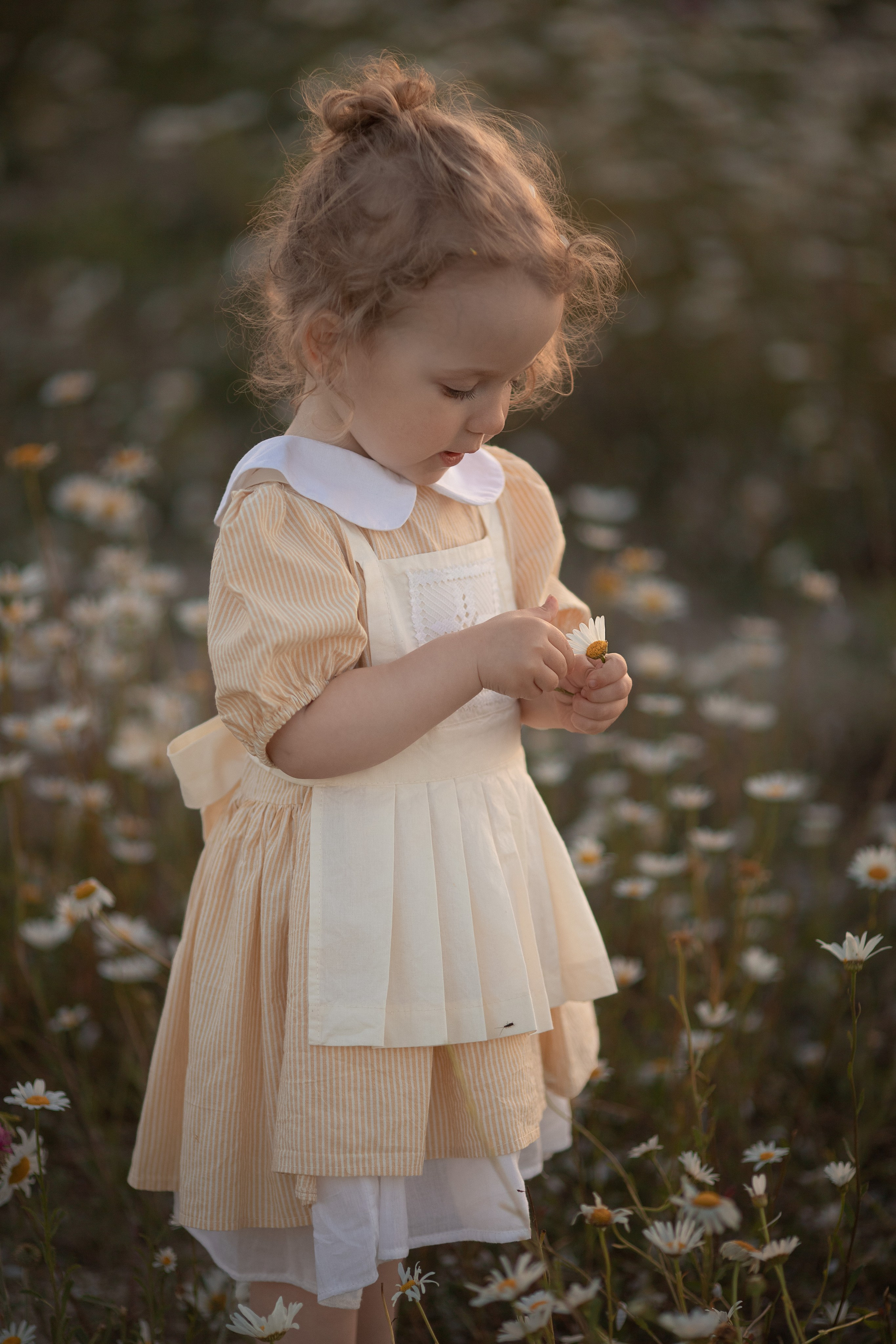 В ромашках. Семейный и детский фотограф в Крыму Екатерина Швец
