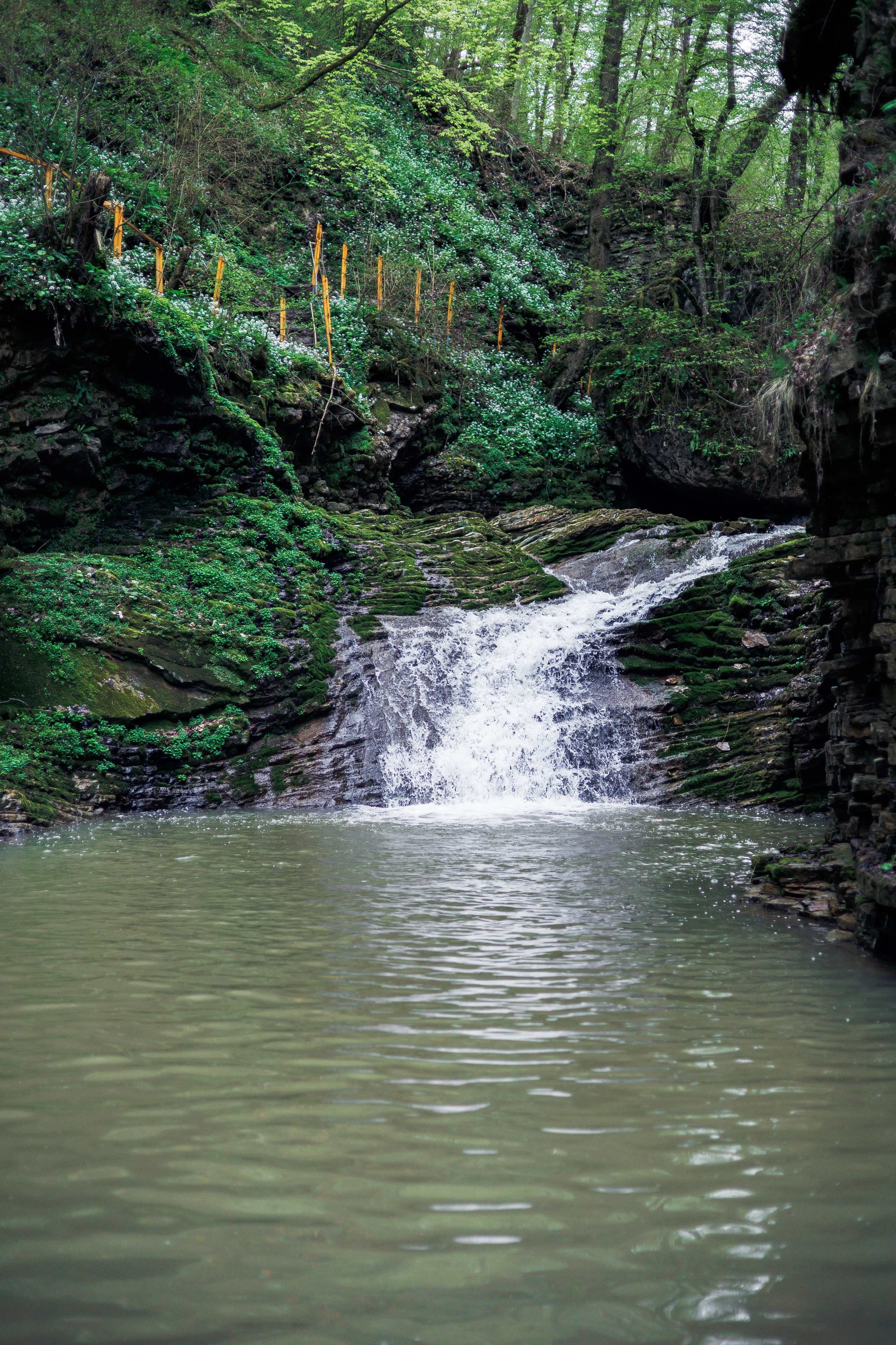 Адыгея. Водопады Руфабго 13.04.24. Фотограф katya_vkadre Таганрог