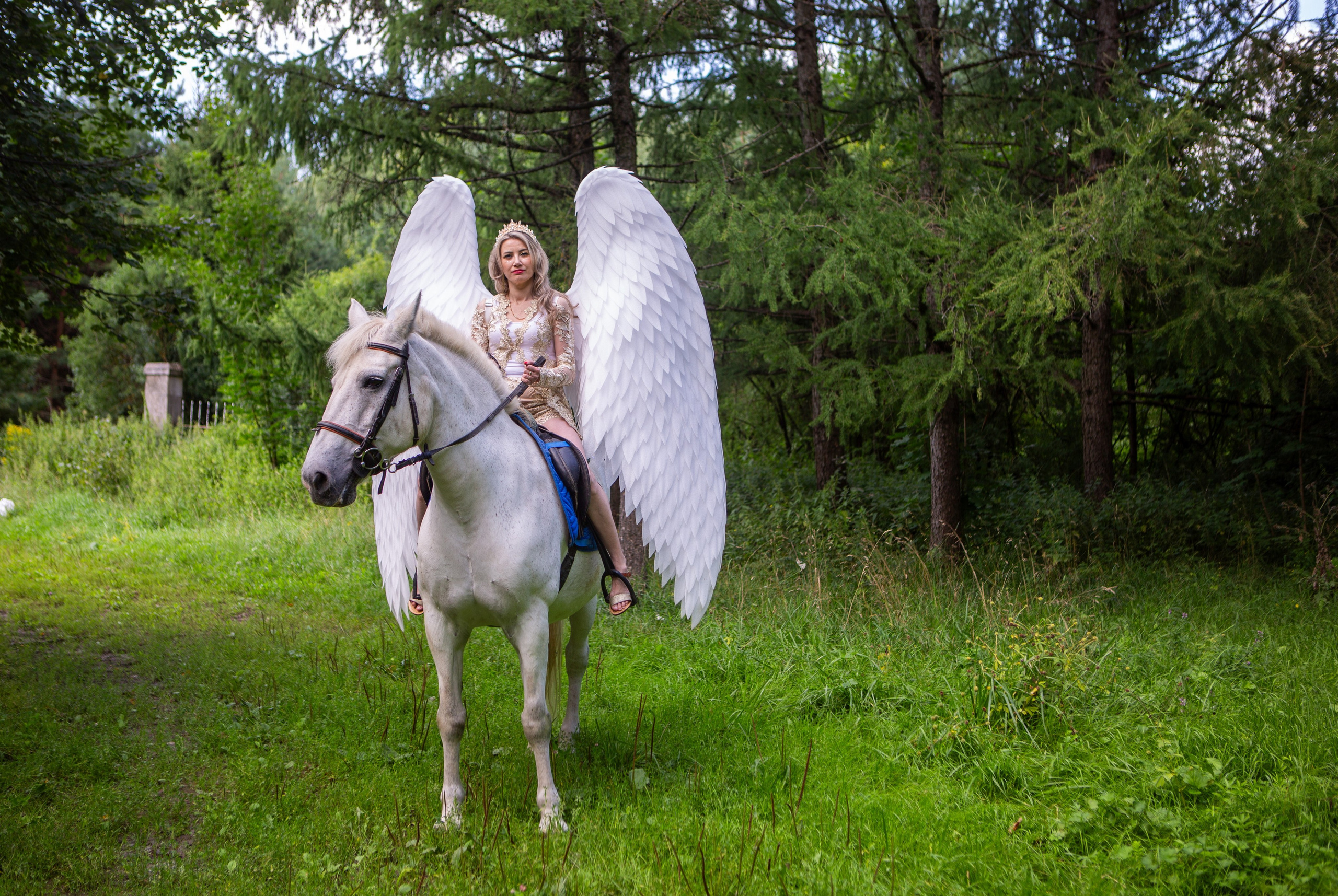Прогулка на лошади. Репортажный, семейный, свадебный, портретный фотограф
