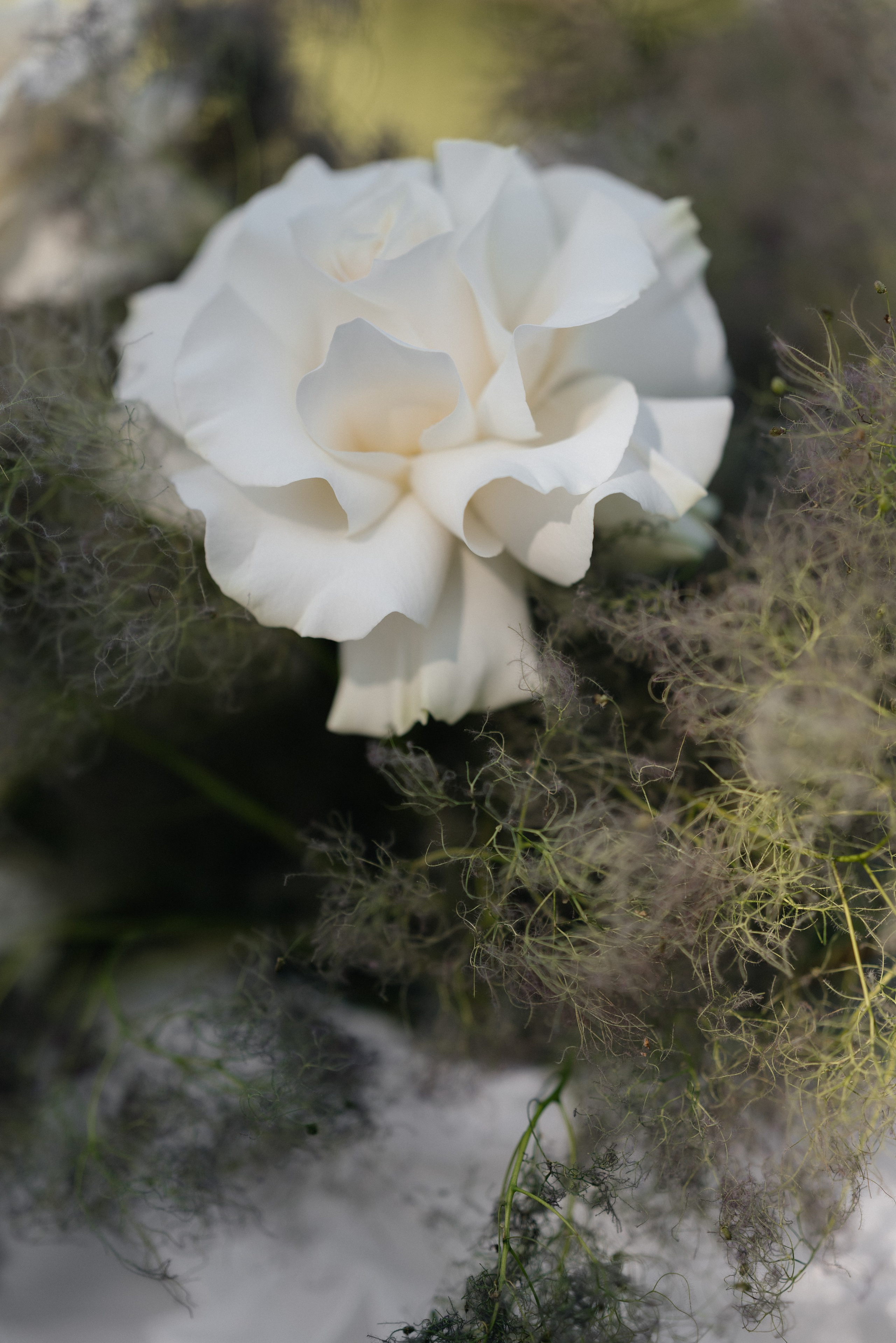 Wedding day in DELICE CHALET. Wedding PHOTOGRAPHER Andrew Vnukov