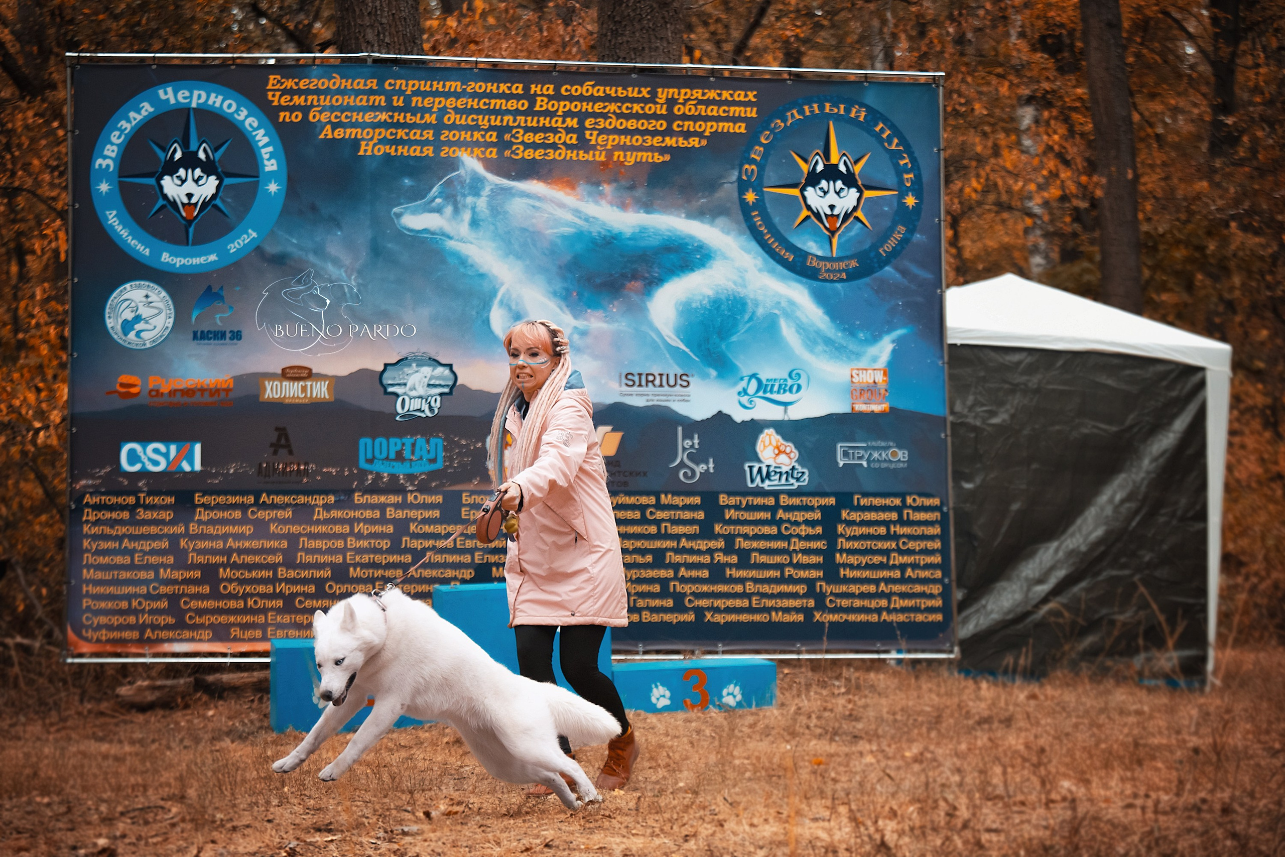 Ездовой спорт с хаски. Питомник собак Акита, Хаски, Корги