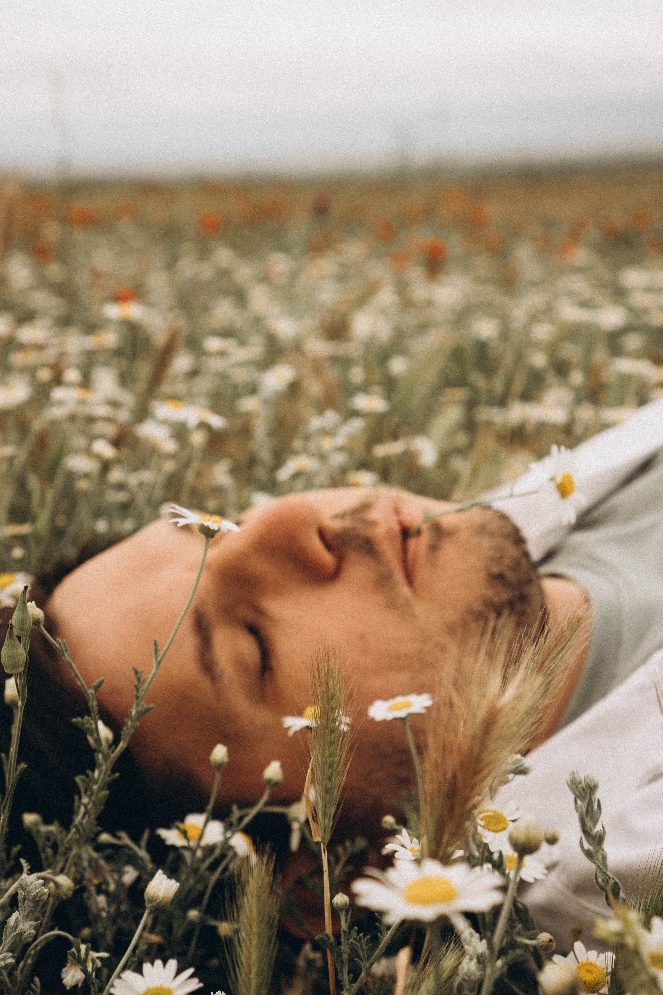 Маки. Профессиональный фотограф, Санкт-Петербург — Виктория Богомолова