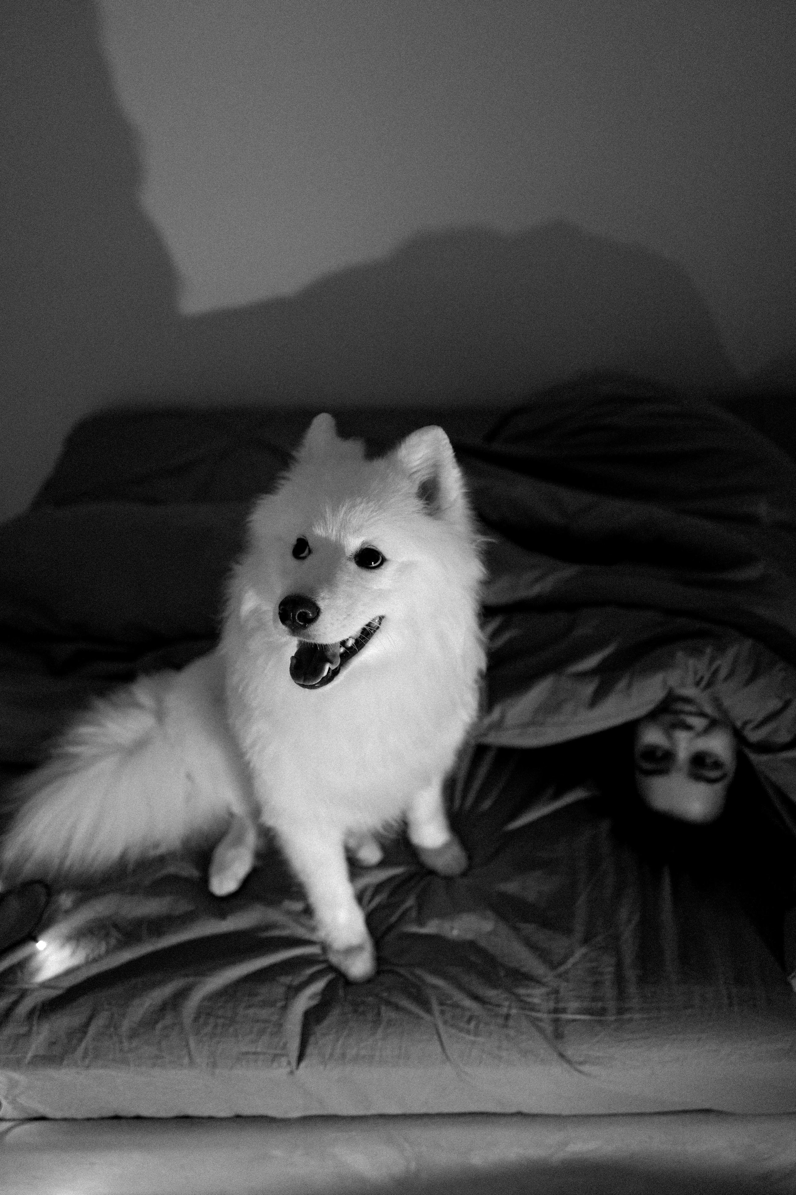 Katya and Fiona. Фотограф Евгения Добротворская