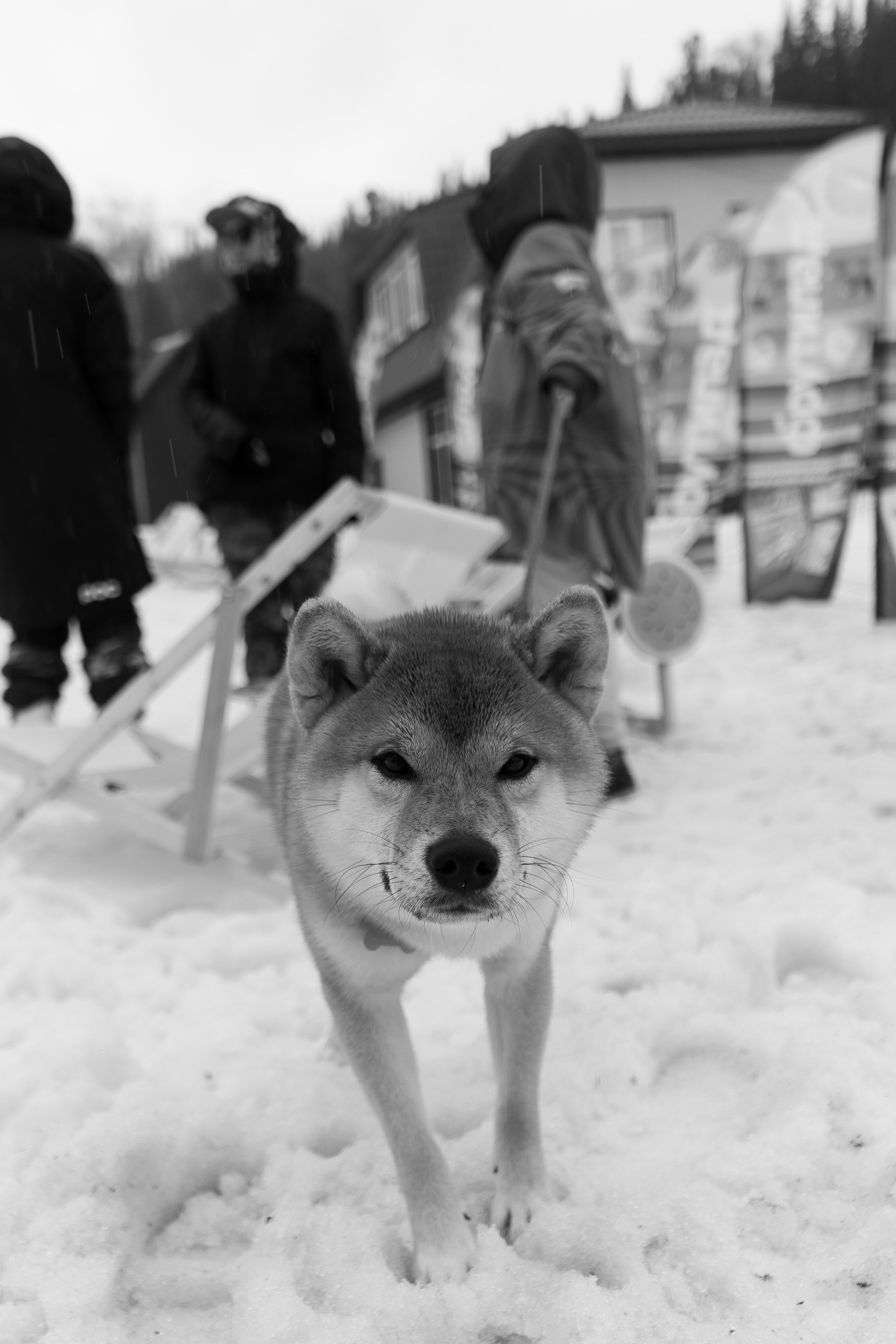 Грелка 18.04.24. Анастасия Паршукова — фотограф Шерегеш Новосибирск