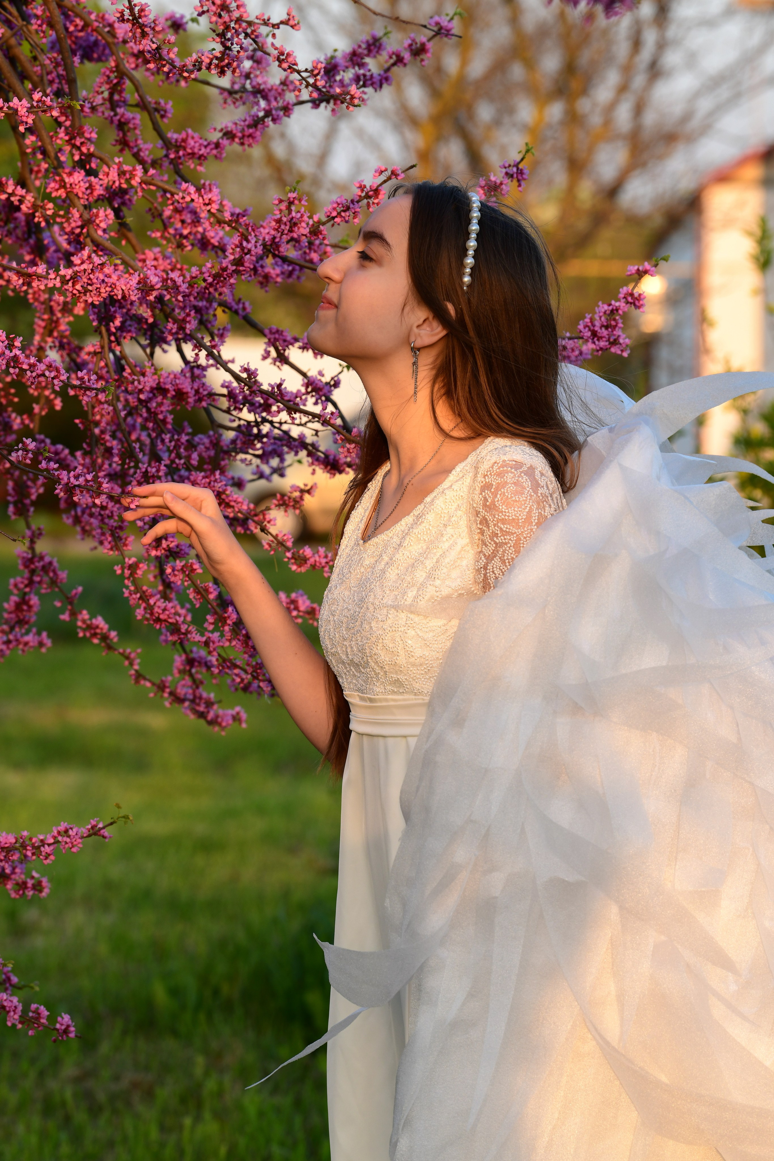 Крылатые истории. Главная