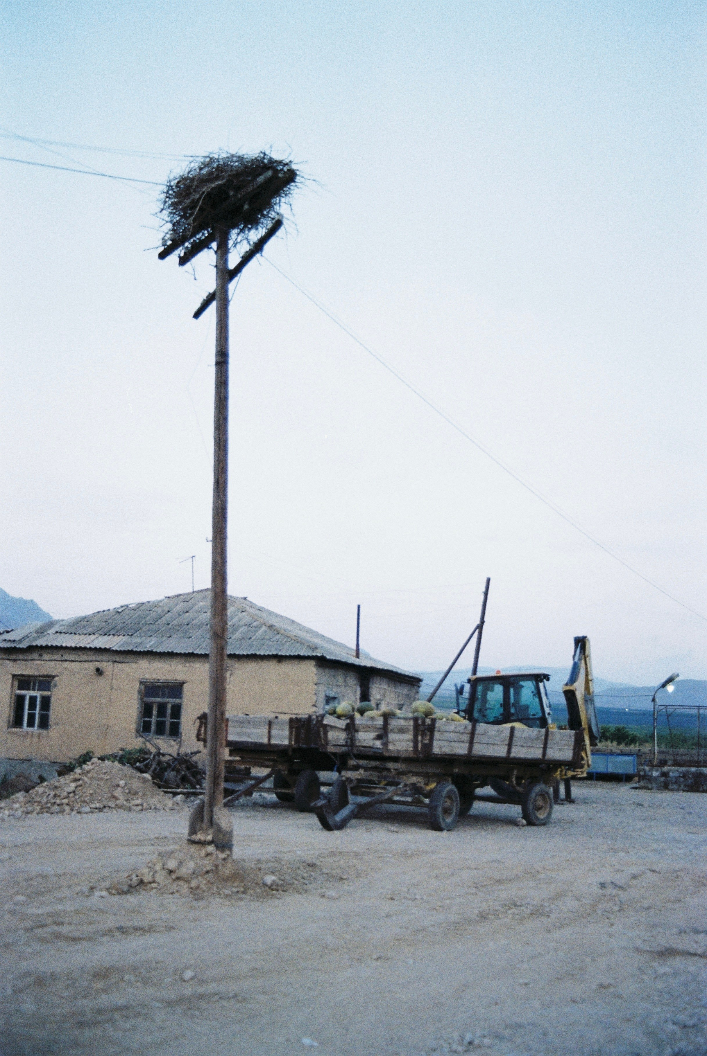 Плёнка. Фотограф в Санкт-Петербурге Надежда Гордюшина