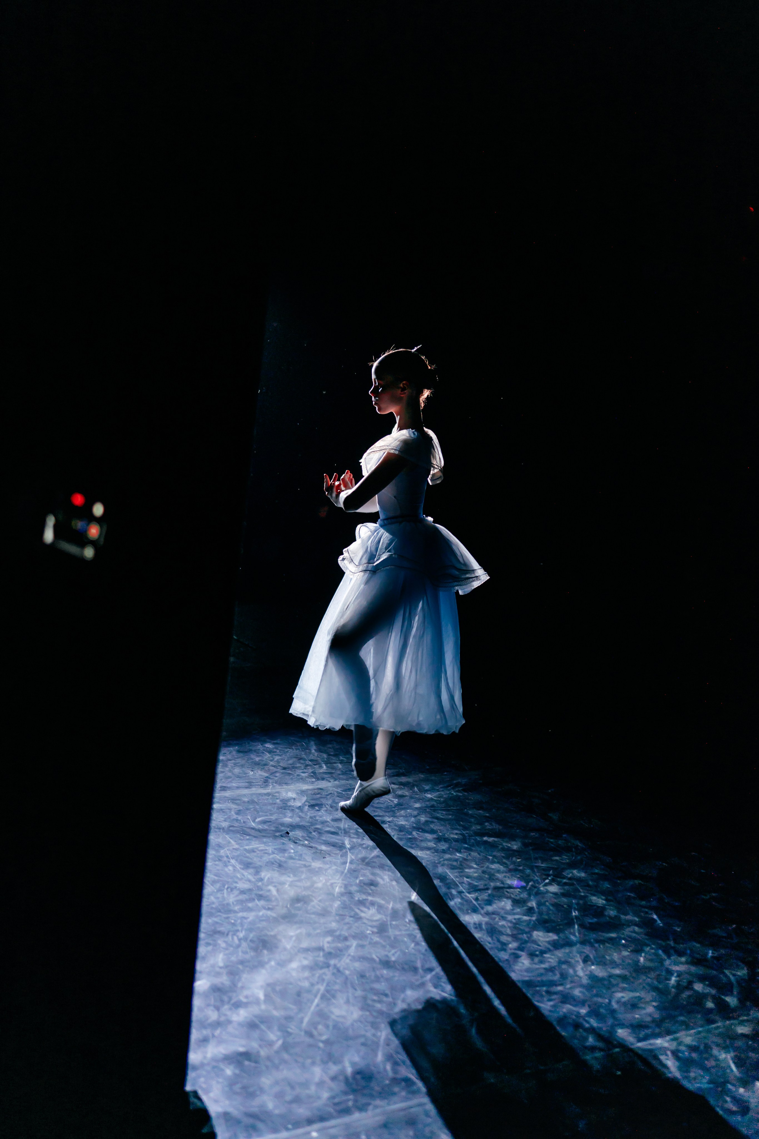 студия Ксении Белой