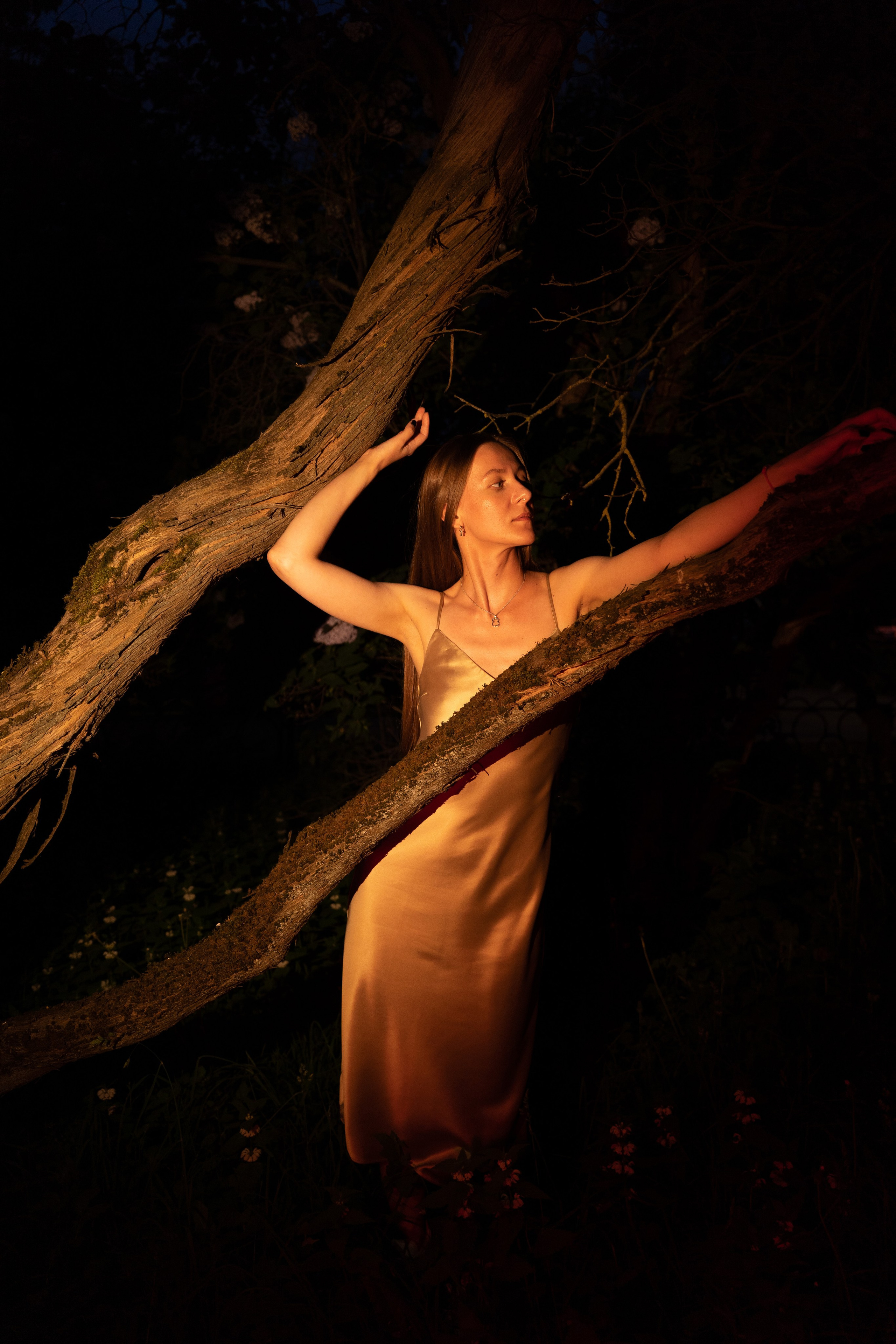 Сиреневый сад. Фотограф Москва