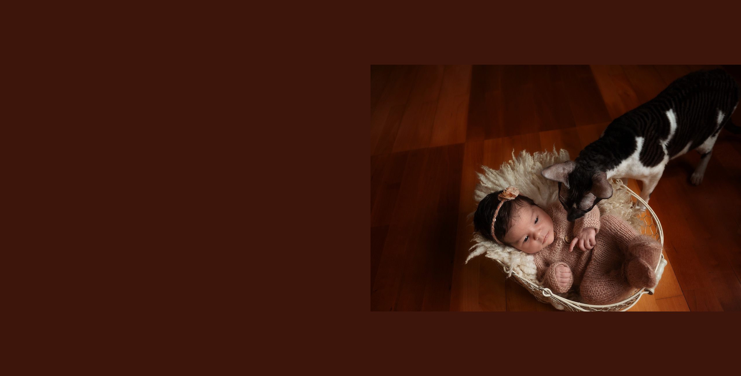 Василиса книга. Алёна Орлова Портретный фотограф Москва