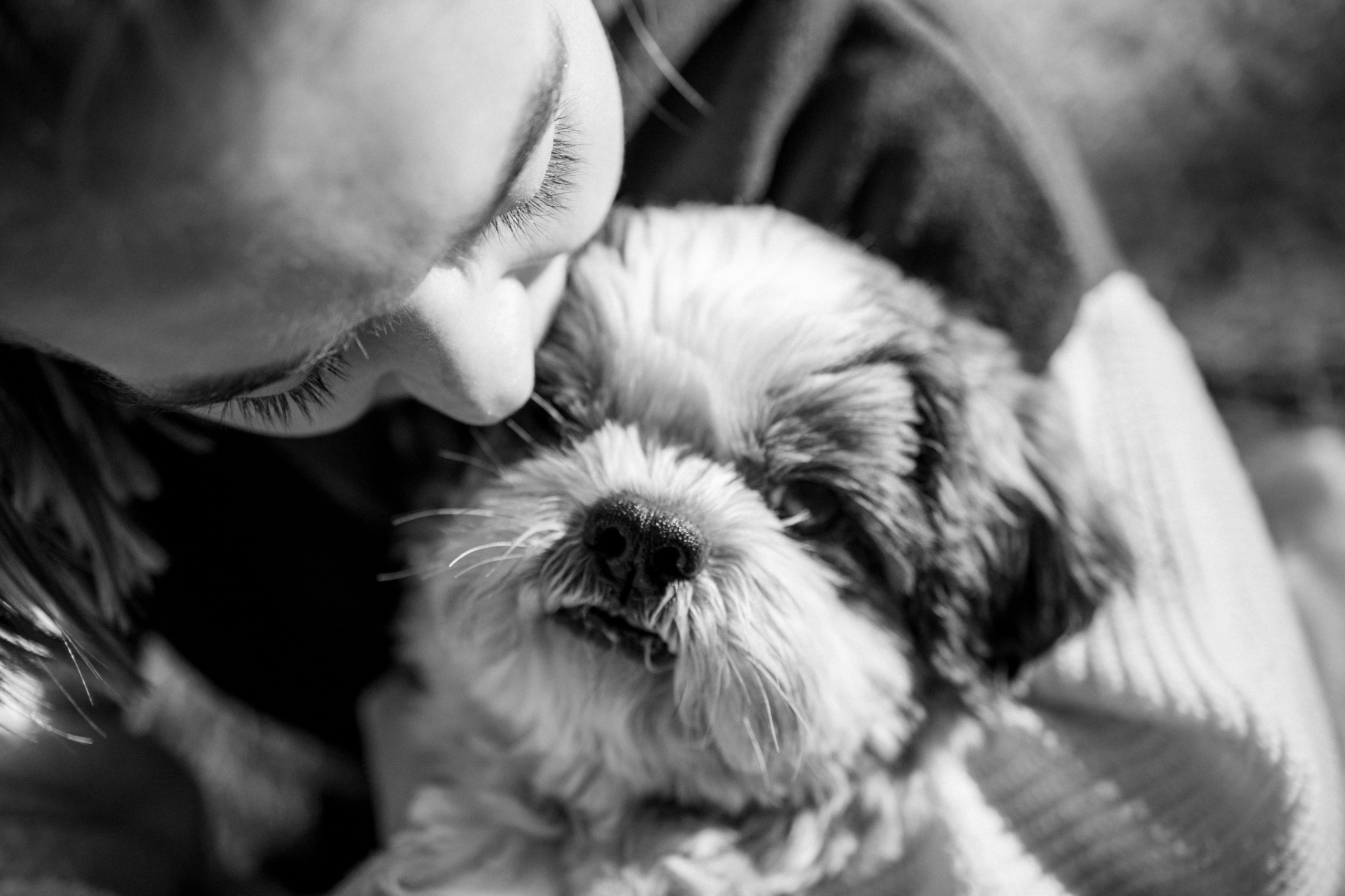 Настя и Франт. Фотограф — Анималист | Санкт-Петербург