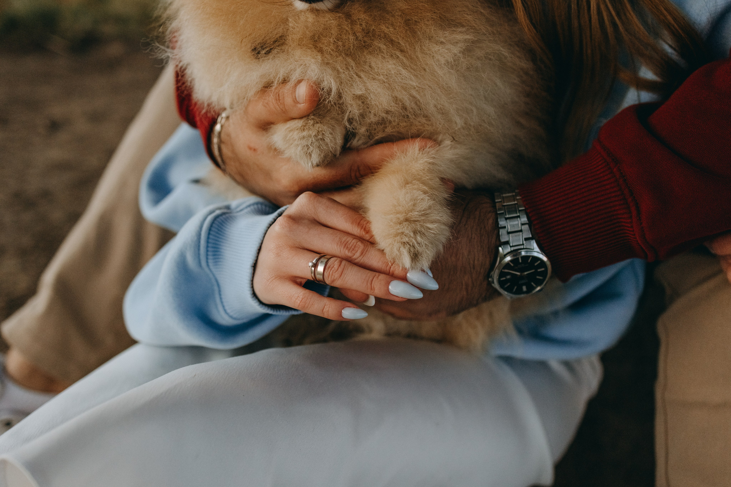 Стив и его семья. Фотограф — Анималист | Санкт-Петербург