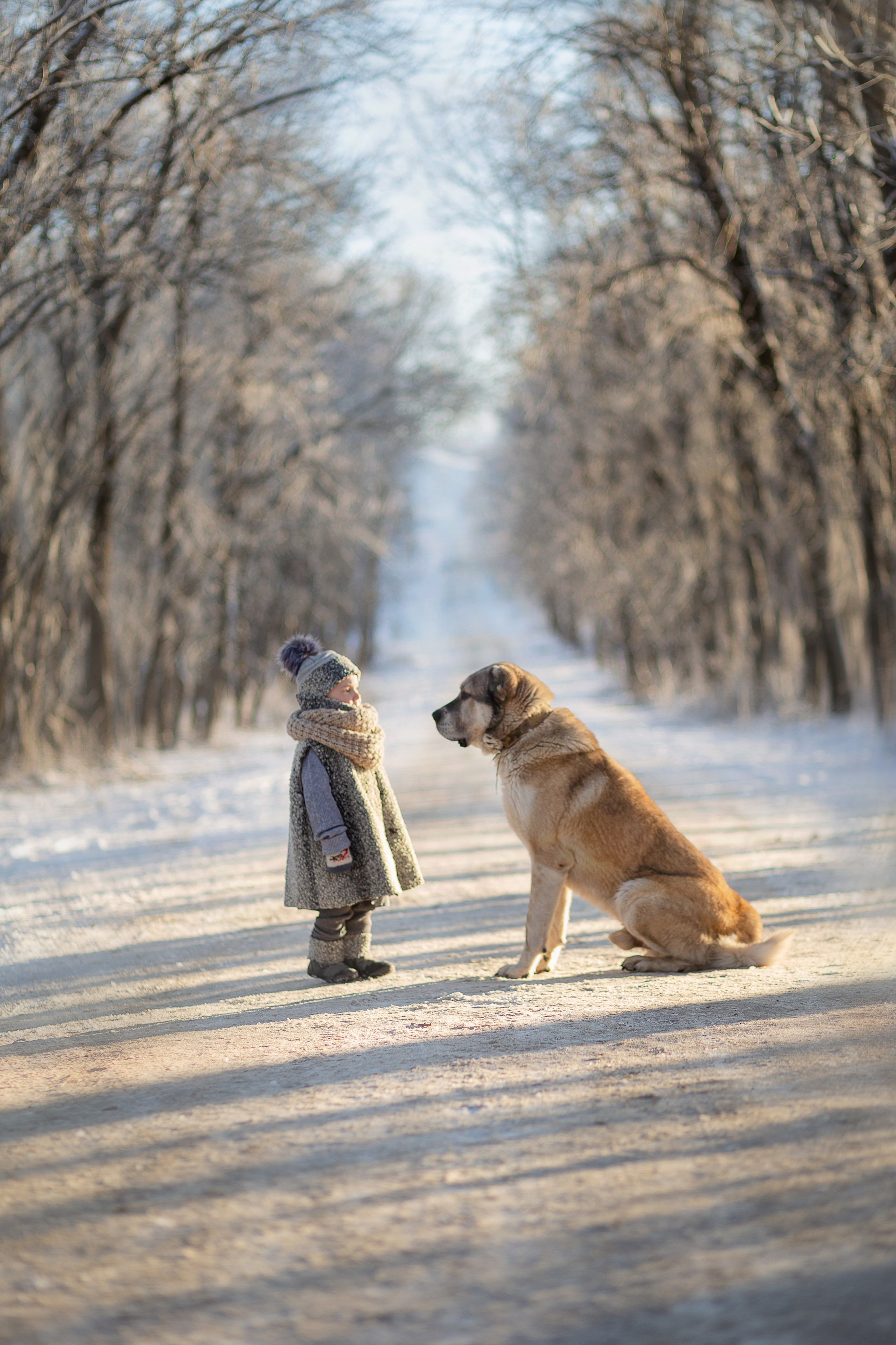 Фотограф Пятигорск, Кисловодск, Ессентуки, Железноводск