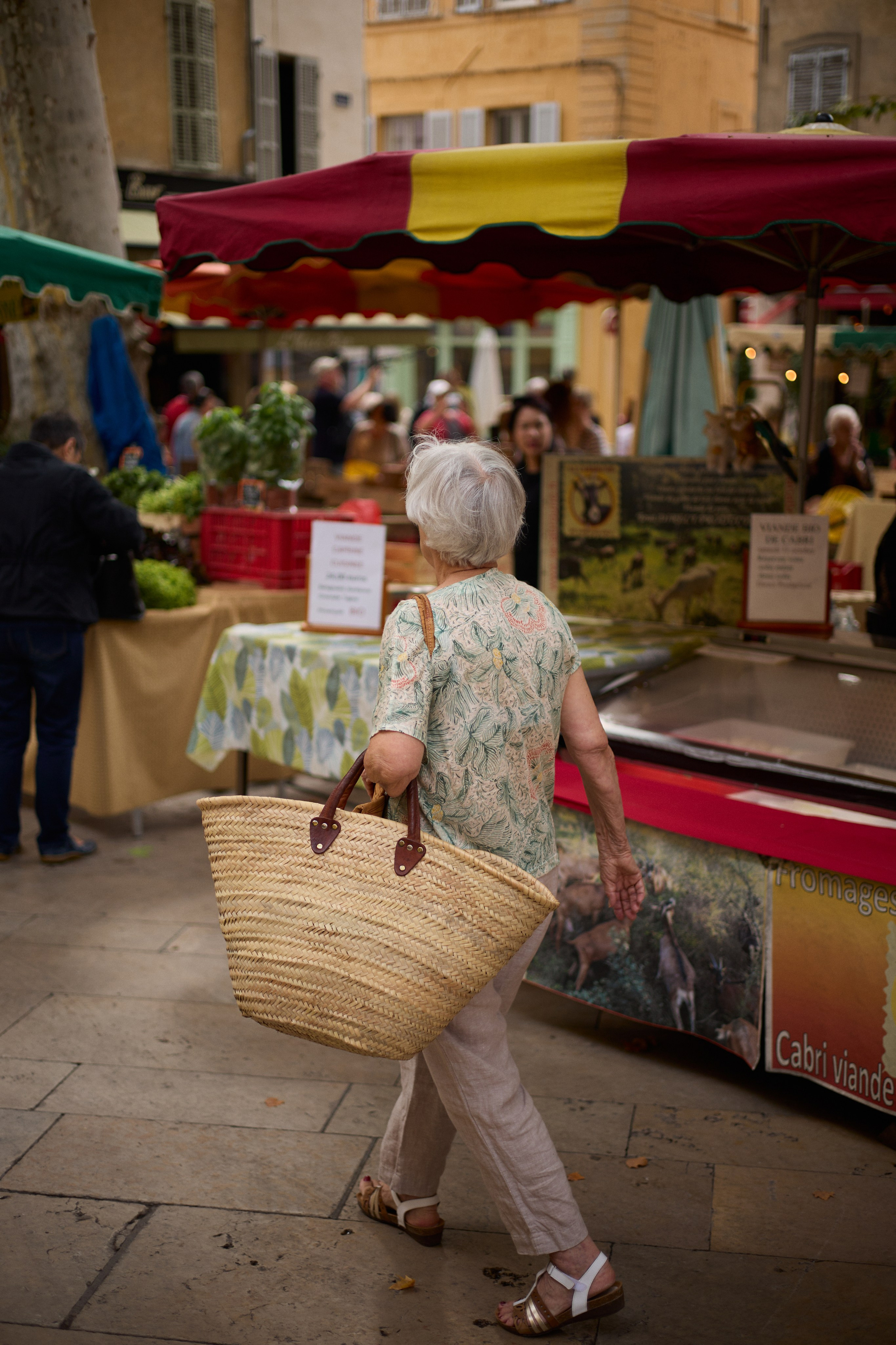 France (Provence & Paris) Sep'25. Анастасия Зобнинá — фотограф в Санкт-Петербурге/СПб