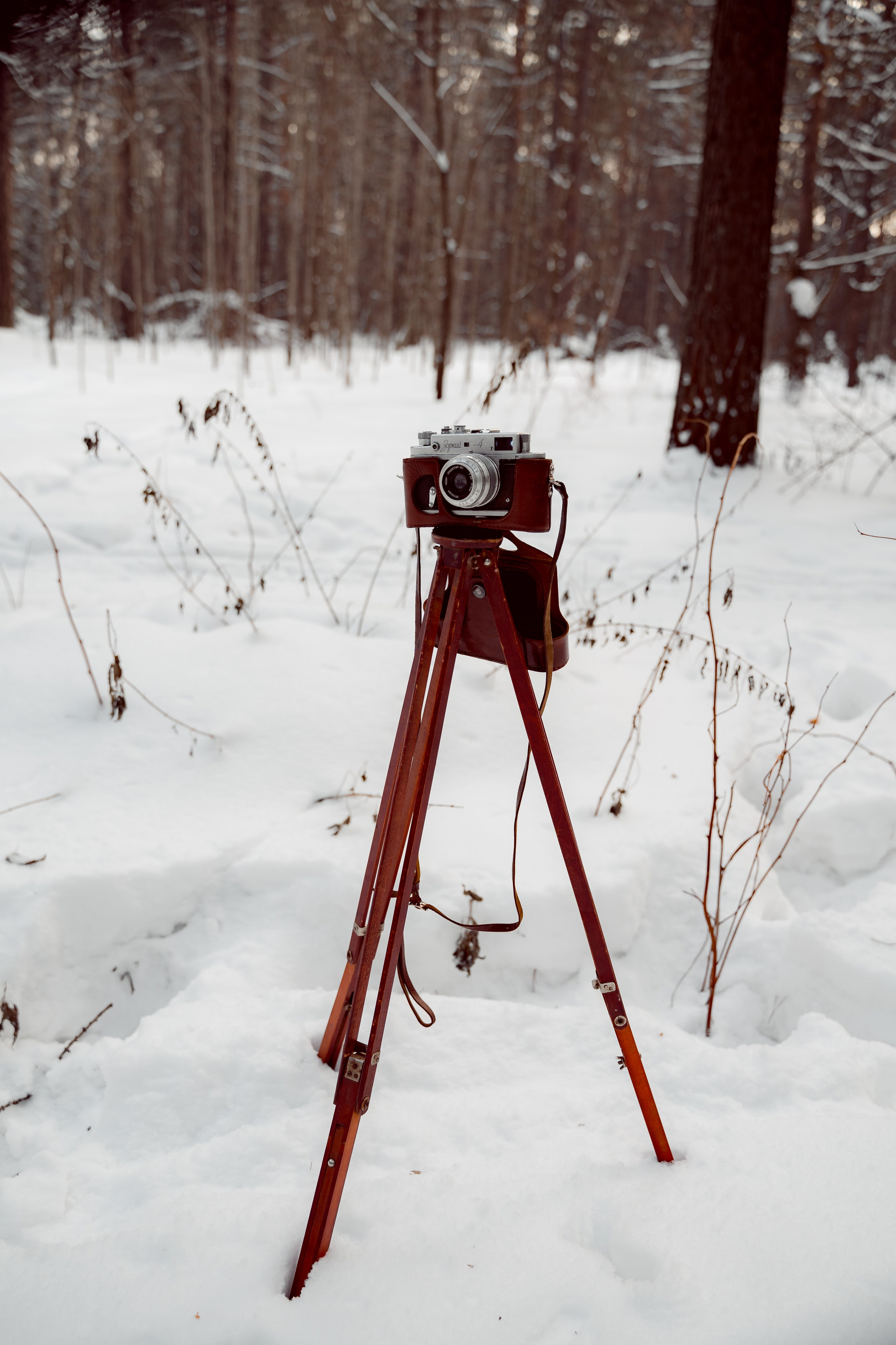 Фотопроект Назад в СССР. Ваш фотограф Северск | Томск