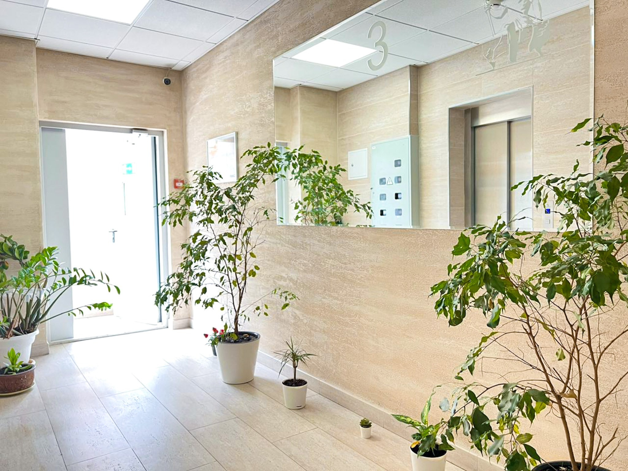 Просторная, уютная квартира с балконом в ж/к Посейдон, в 100 м от моря. Квартиры посуточно, длительно в Сочи, LARA APART GROUP