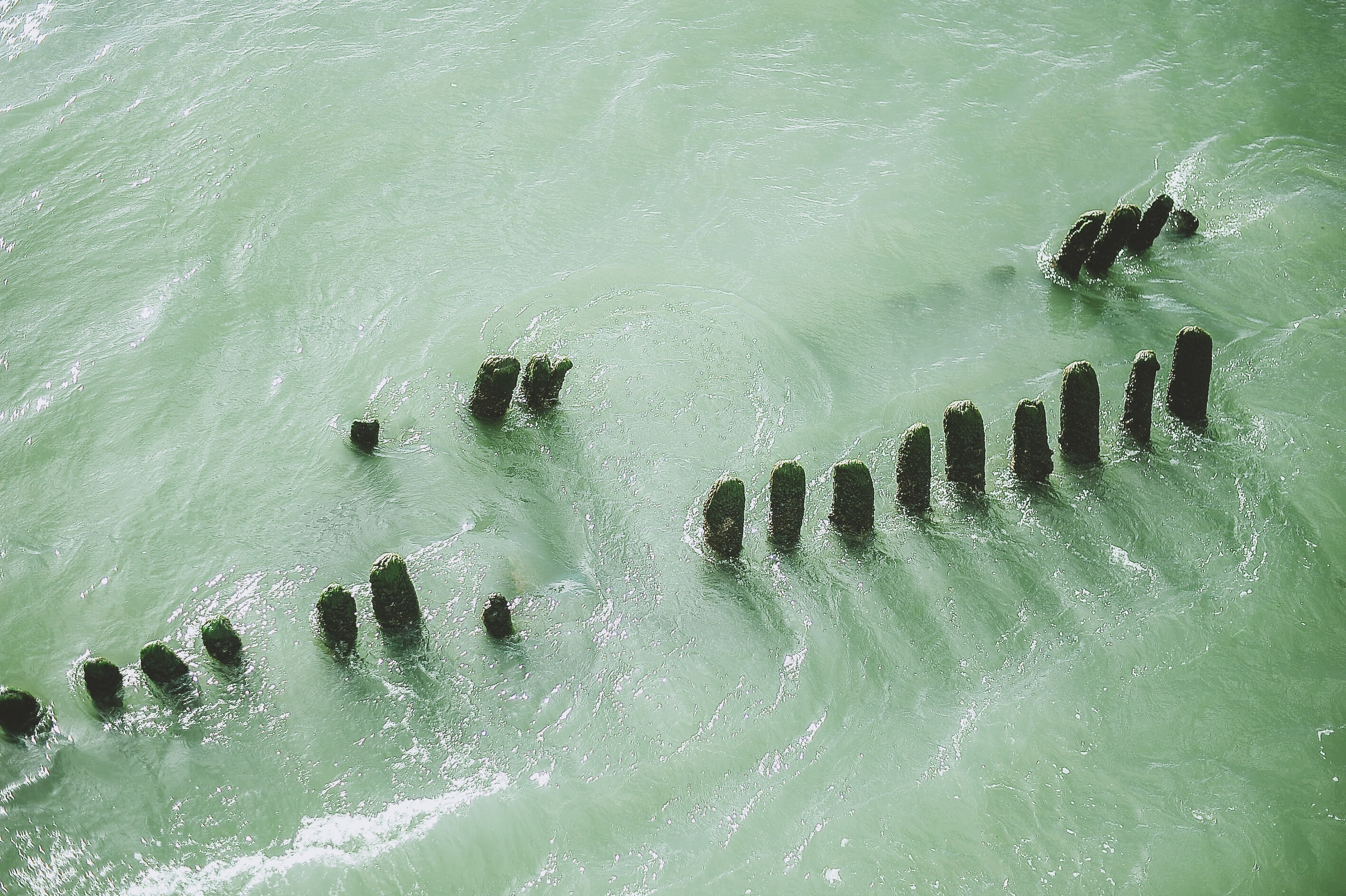 Йен в Калининграде. Элька Мурзина