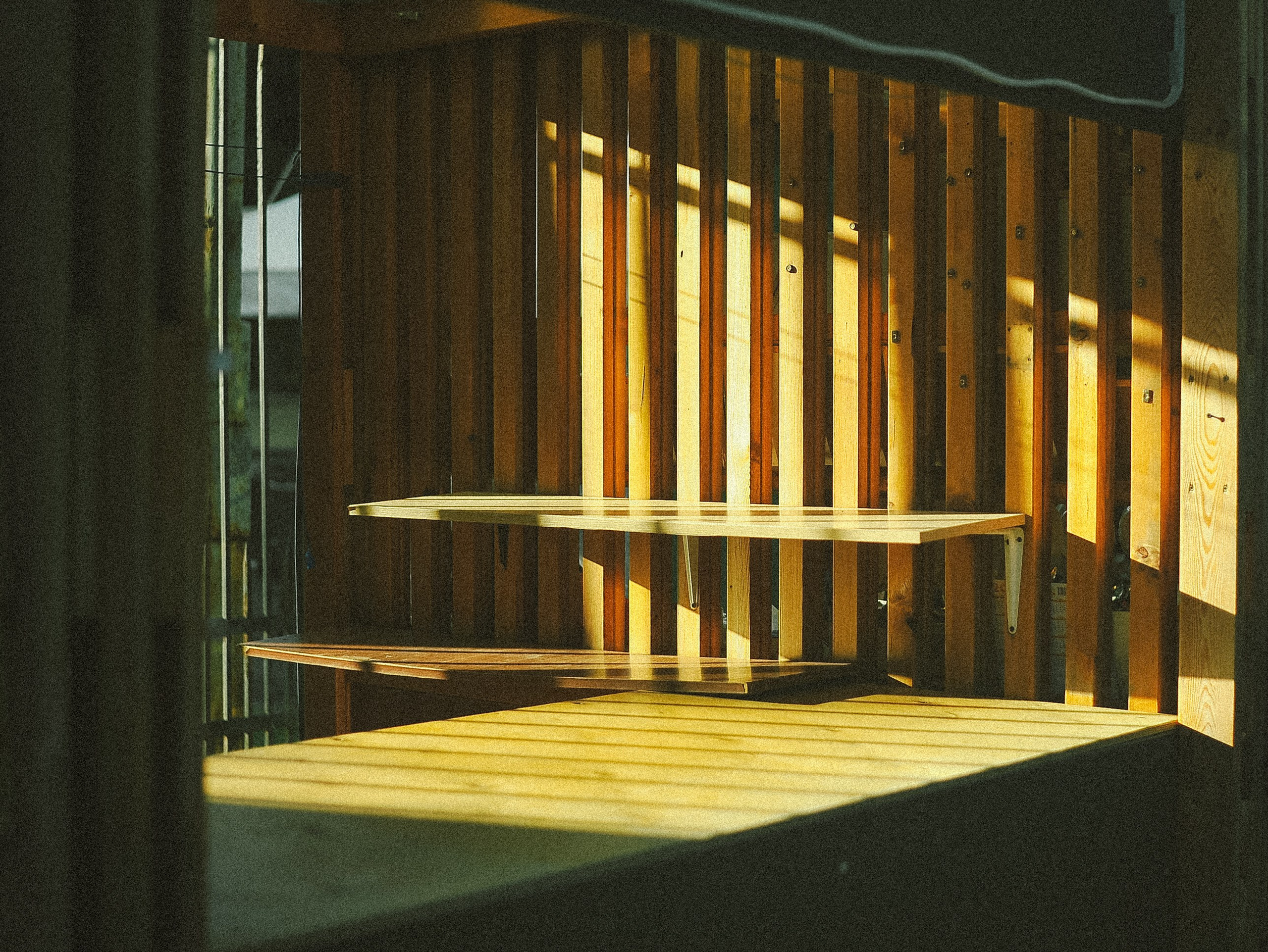 Прогулка. Элька Мурзина